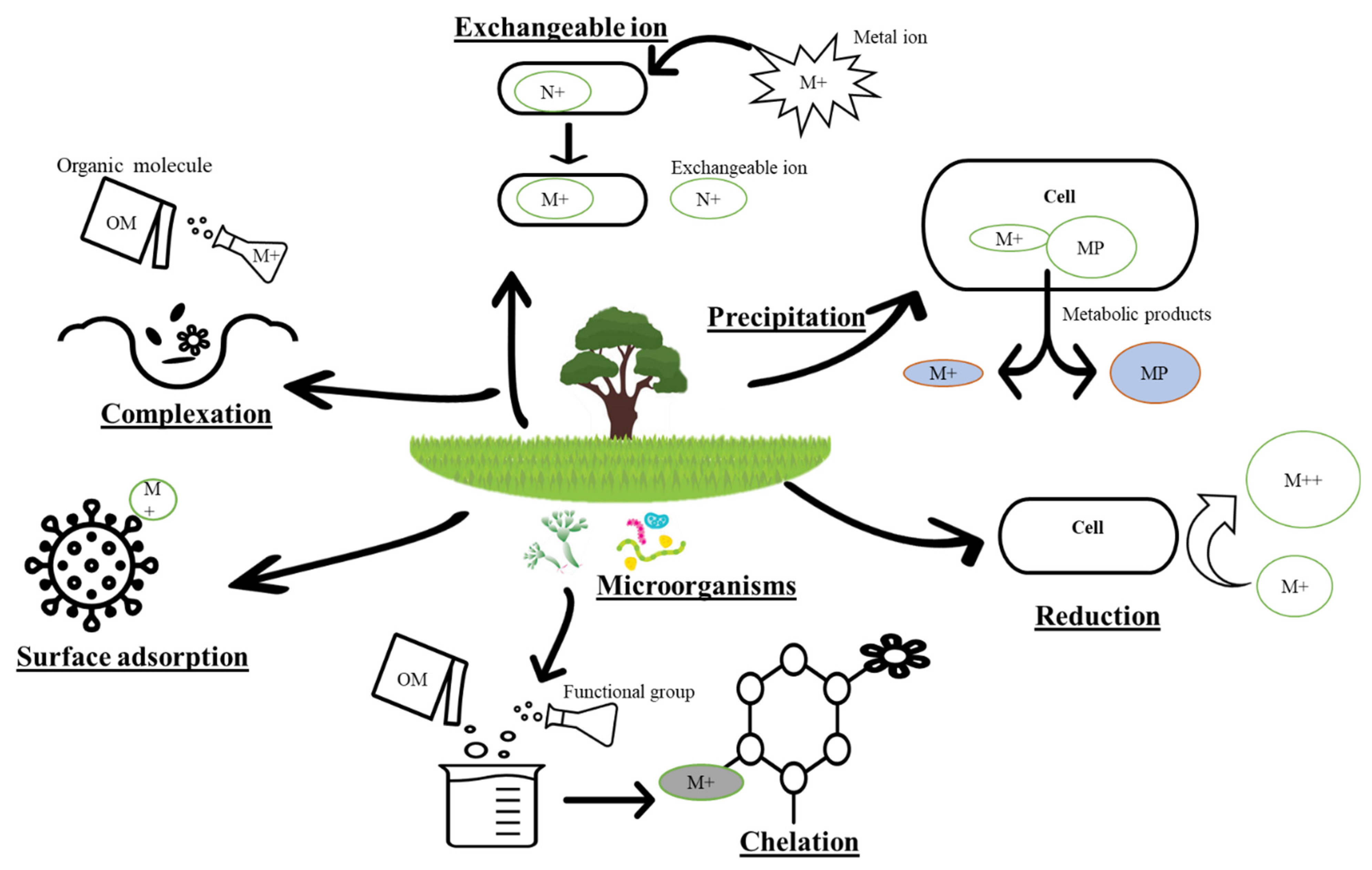 Water 13 00215 g003 Water 13 00215 g003