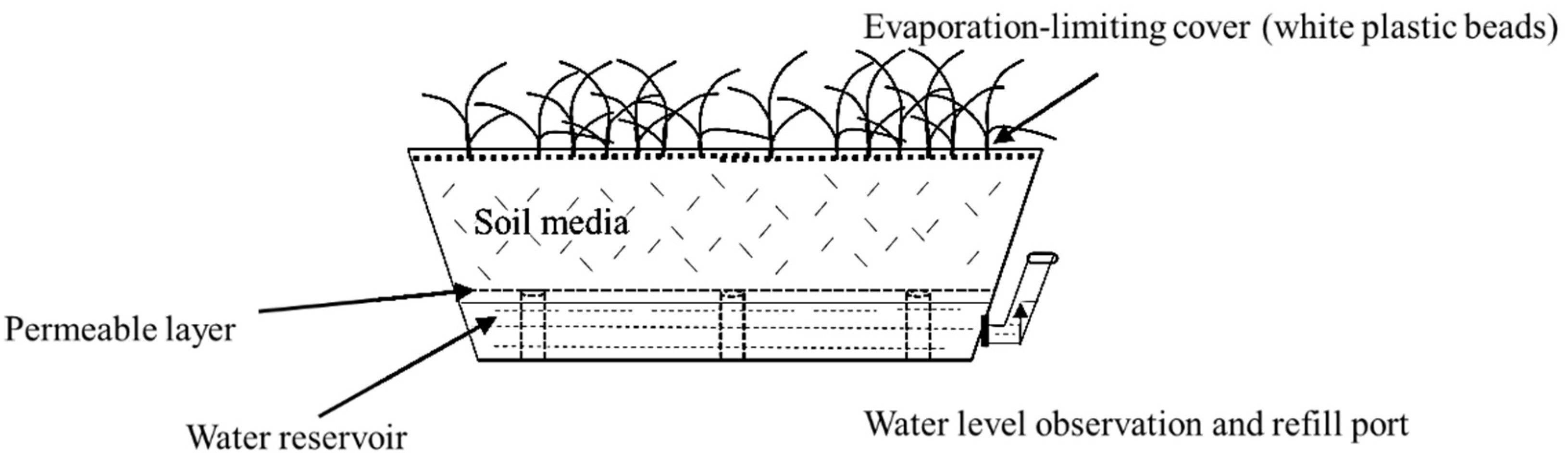 Water | Free Full-Text | A Canopy Transpiration Model Based on Scaling ...