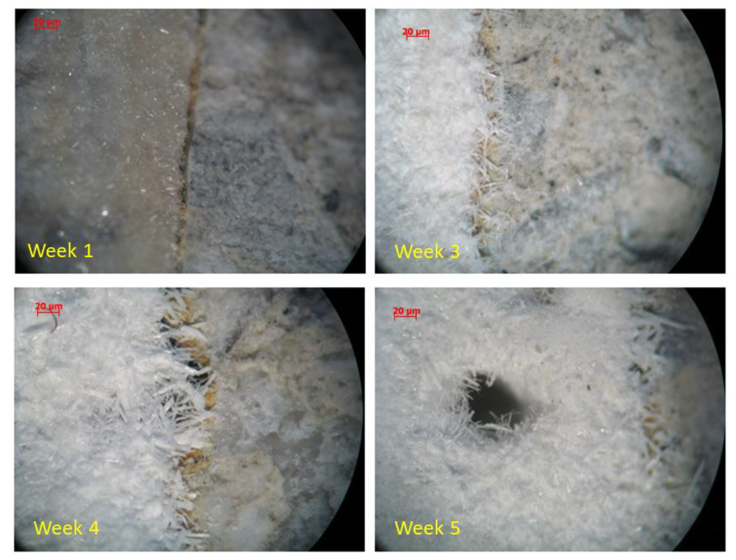 Water 13 00261 g002 Water 13 00261 g002