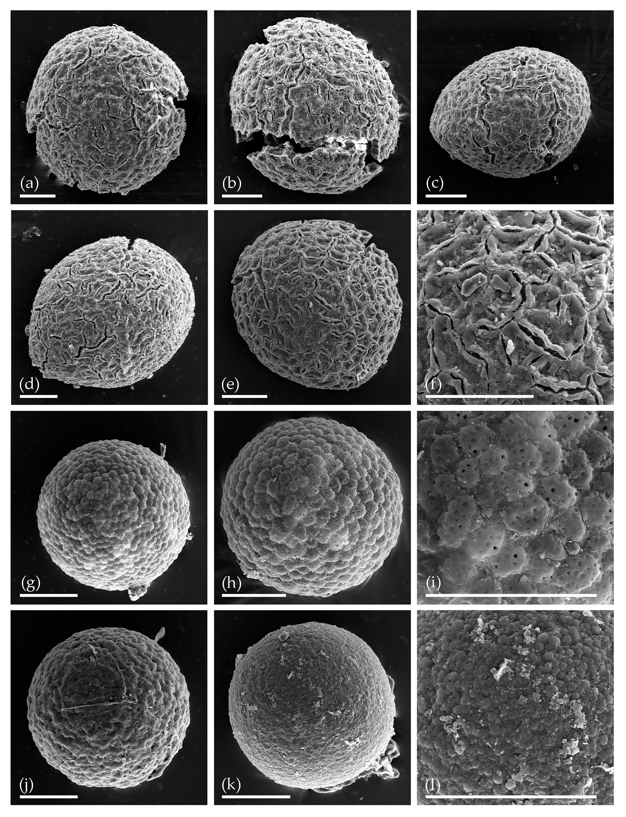 Water 13 00280 g002 Water 13 00280 g002