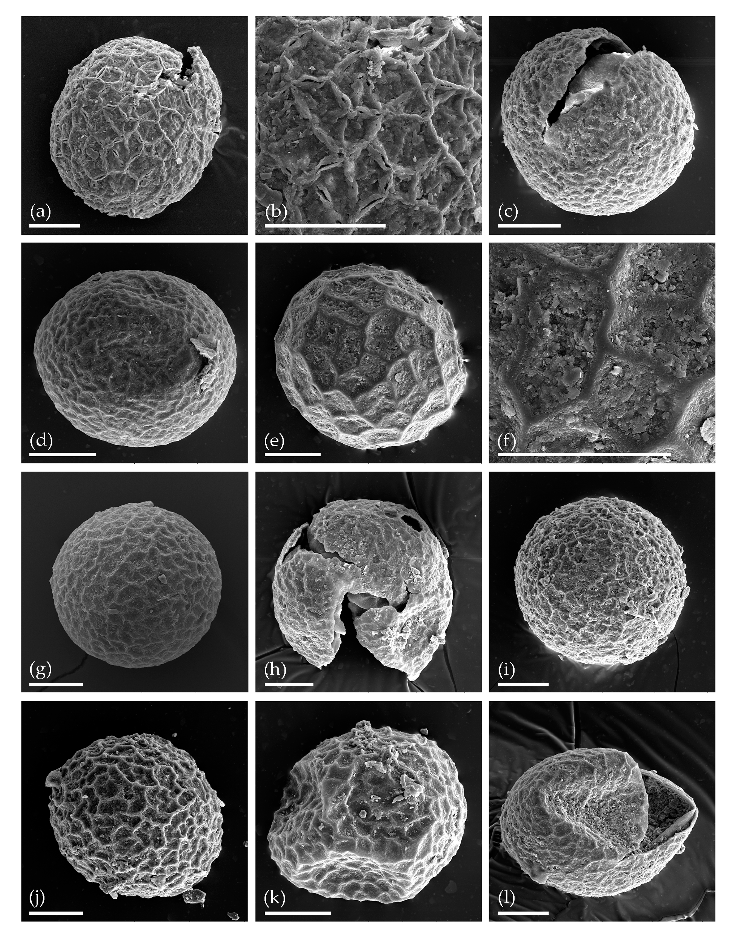 Water 13 00280 g003 Water 13 00280 g003