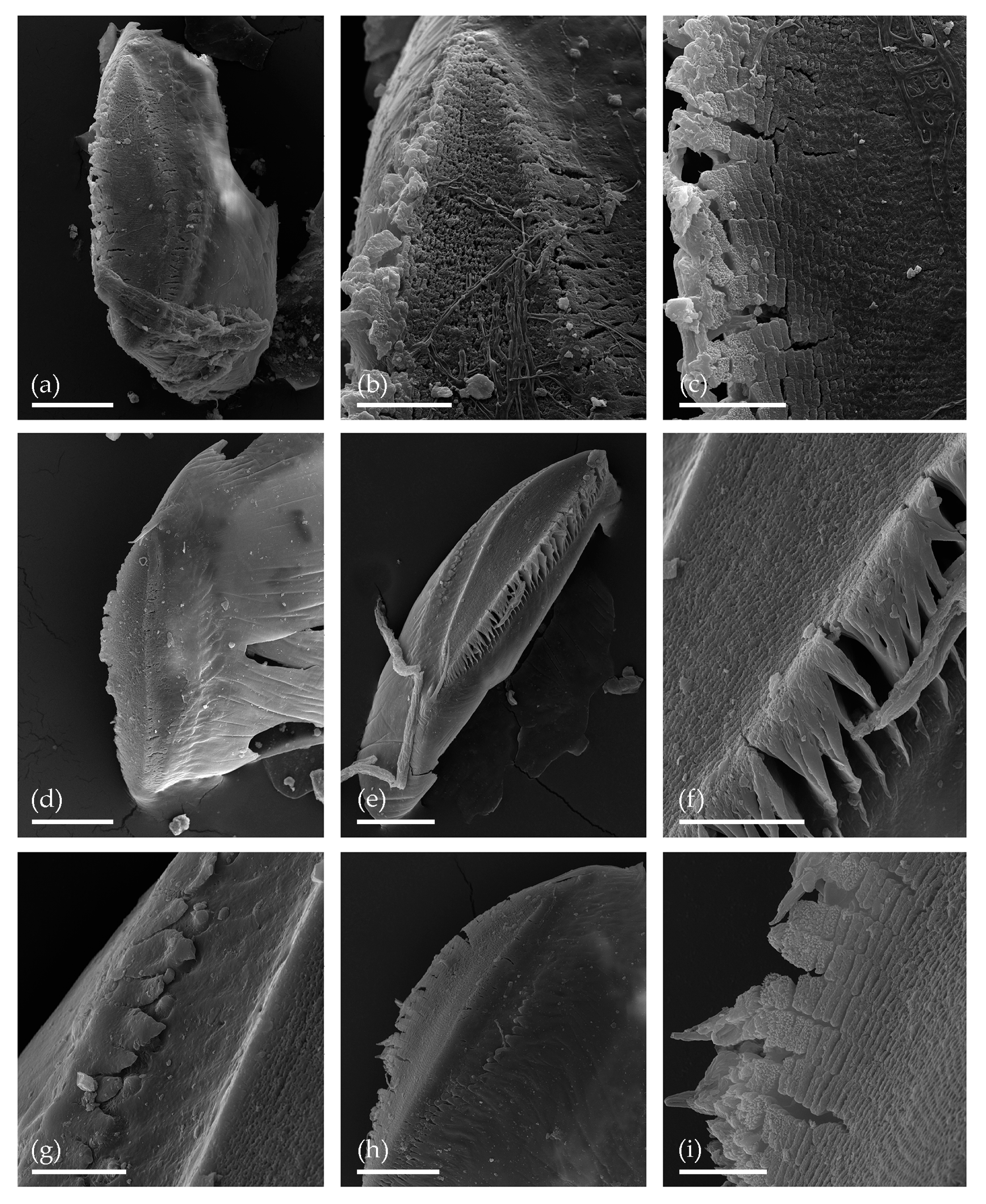 Water 13 00280 g005 Water 13 00280 g005