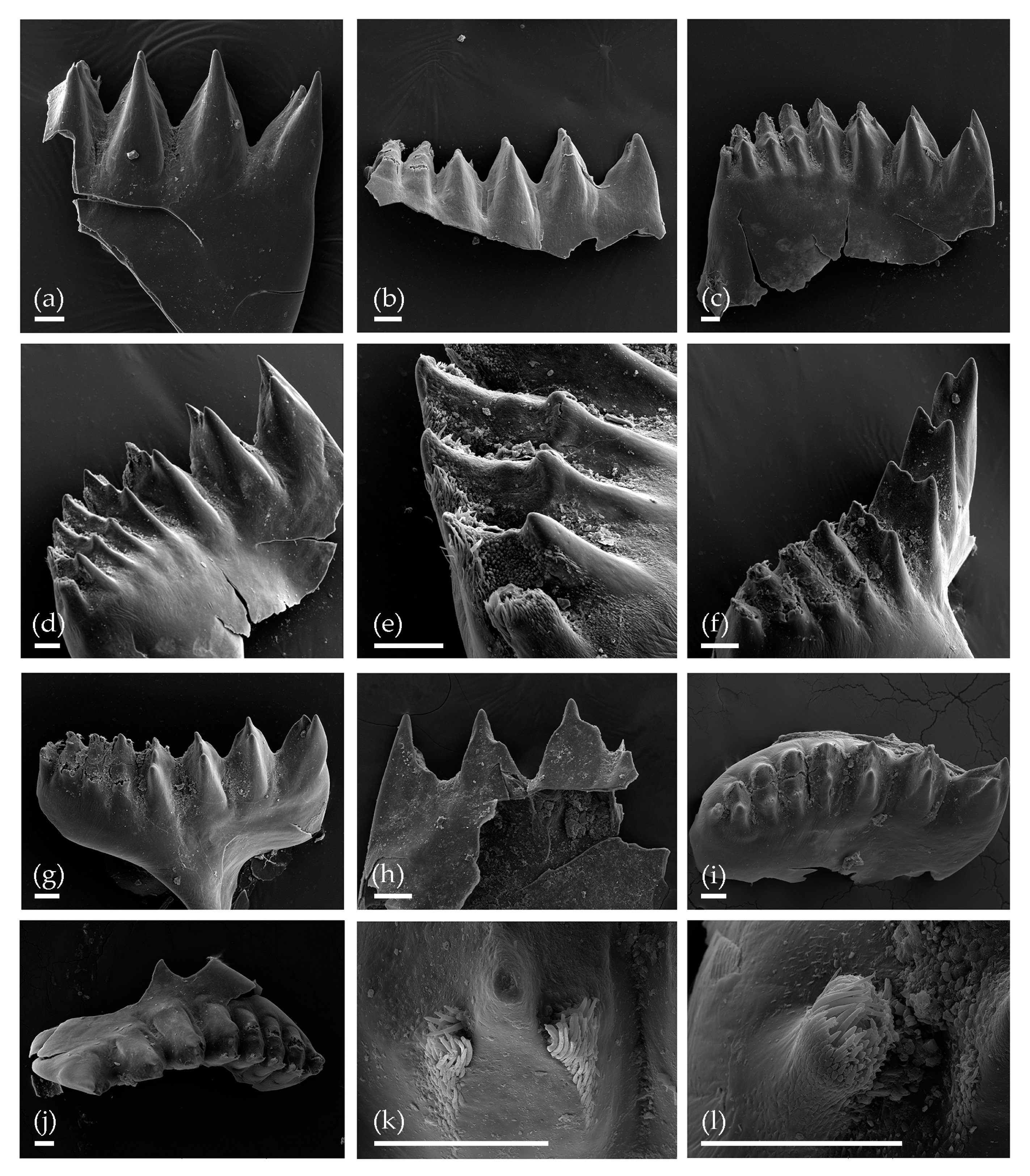 Water 13 00280 g006 Water 13 00280 g006