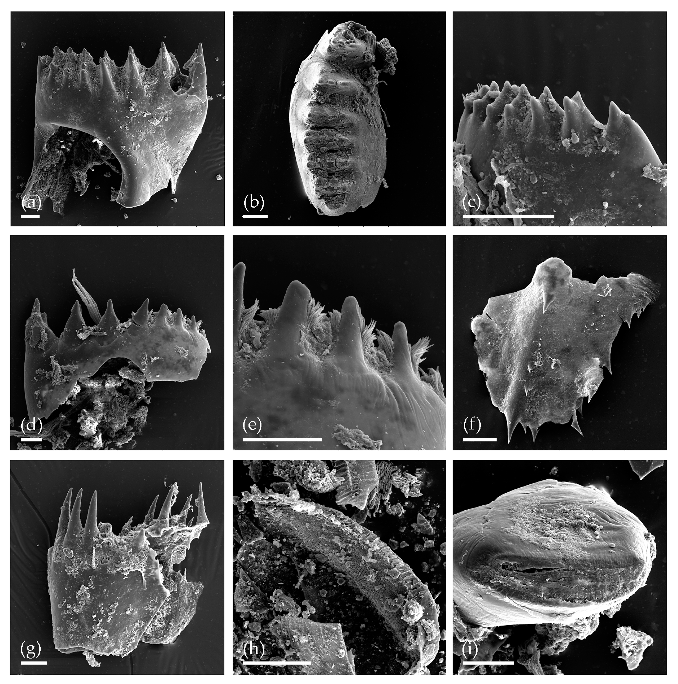 Water 13 00280 g007 Water 13 00280 g007