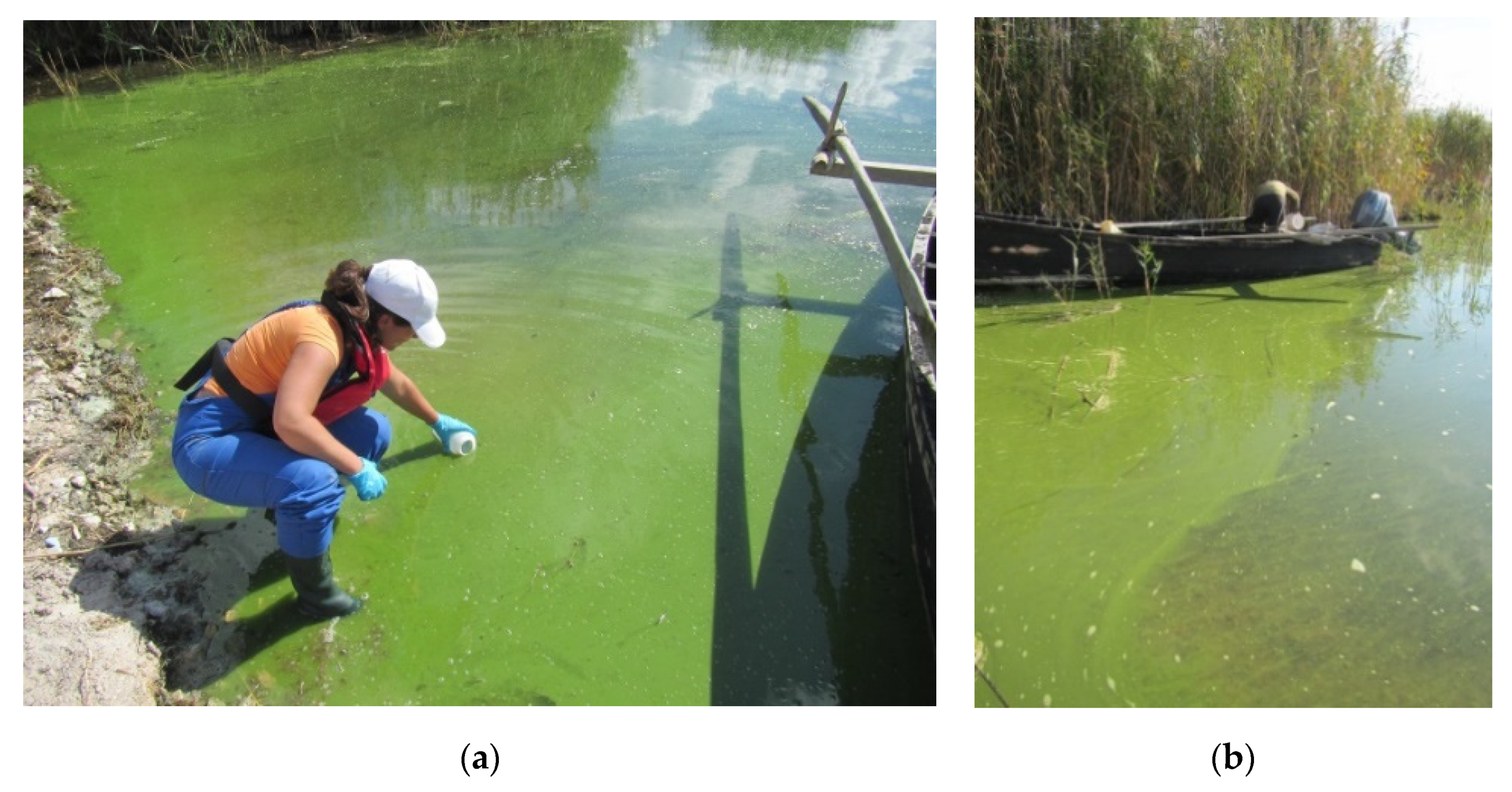 Water 13 00357 g0a1a Water 13 00357 g0a1a