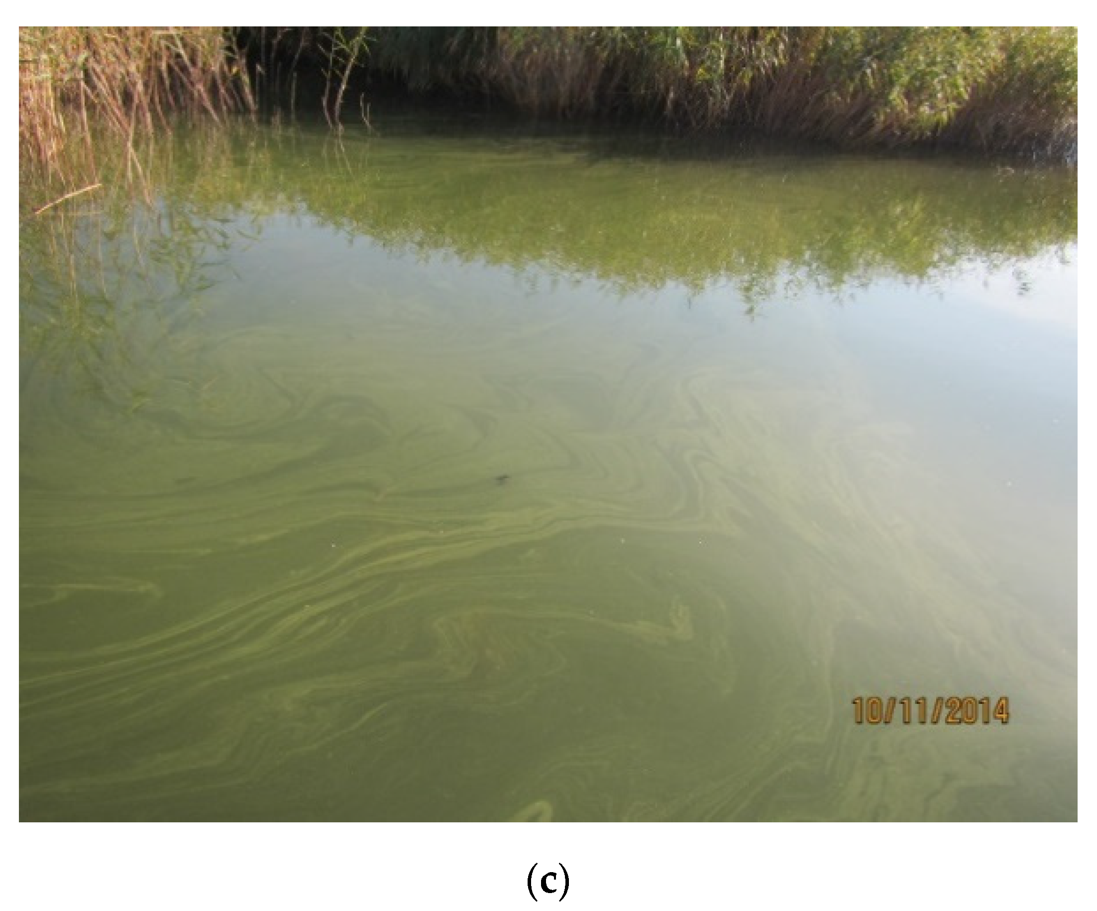 Water 13 00357 g0a1b Water 13 00357 g0a1b