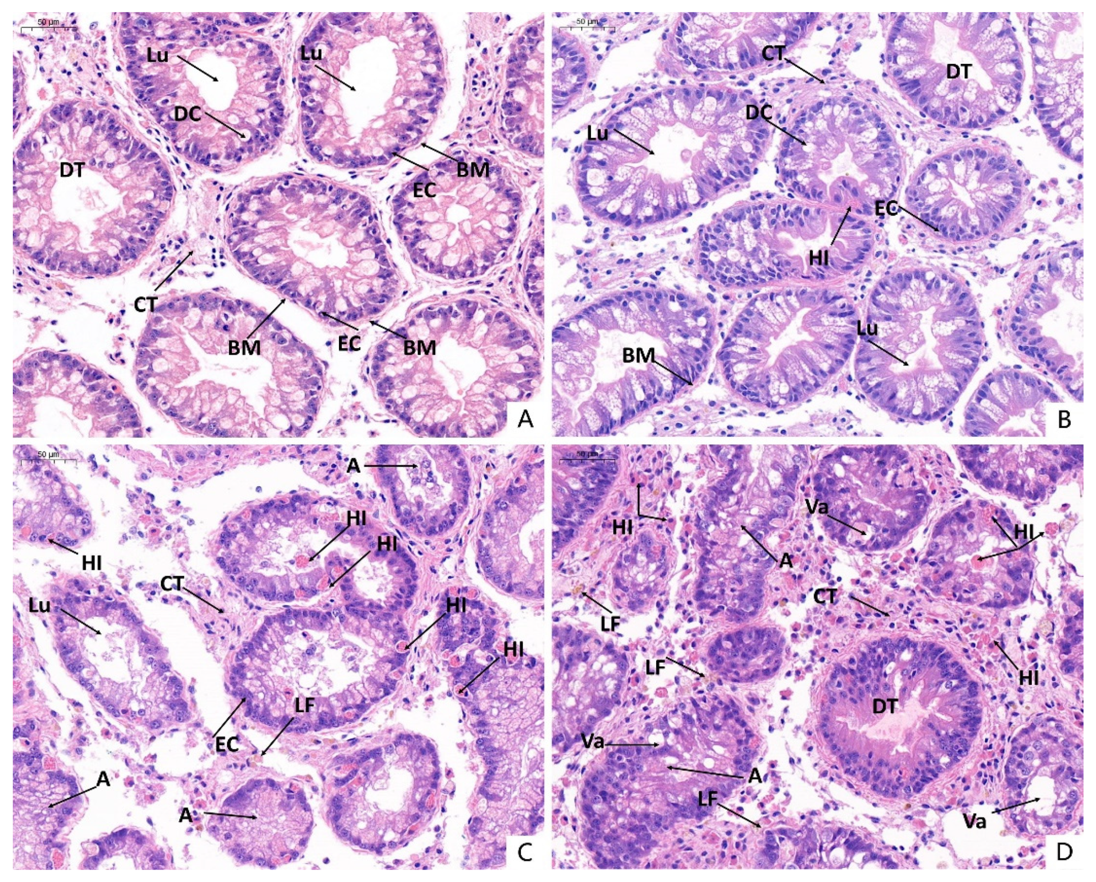 Water 13 00425 g004 Water 13 00425 g004