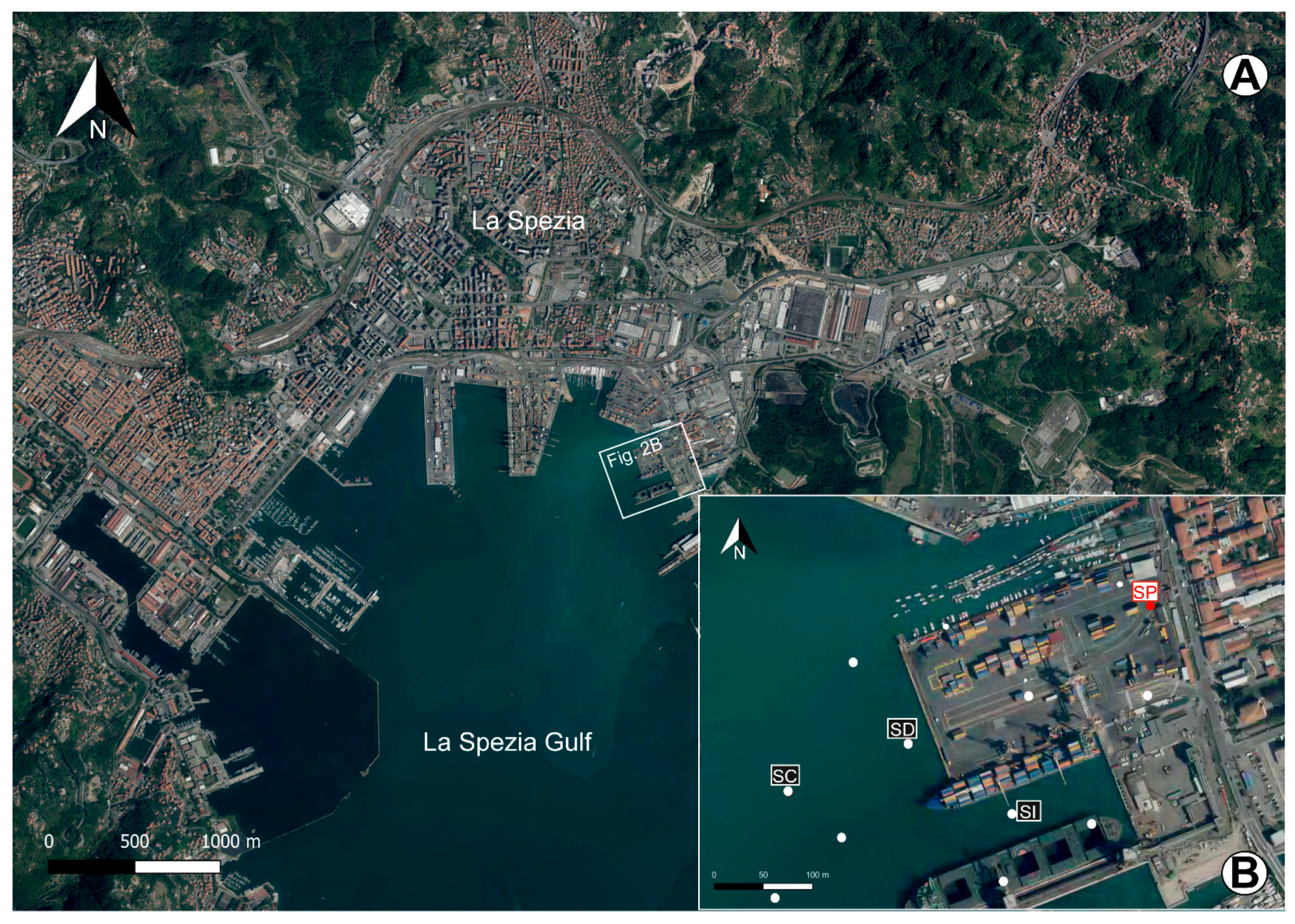Water Free Full Text Late Quaternary Landscape Dynamics At The La Spezia Gulf Nw Italy A Multi Proxy Approach Reveals Environmental Variability Within A Rocky Embayment Html