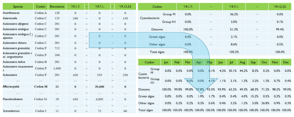 Water 13 00439 g003 Water 13 00439 g003