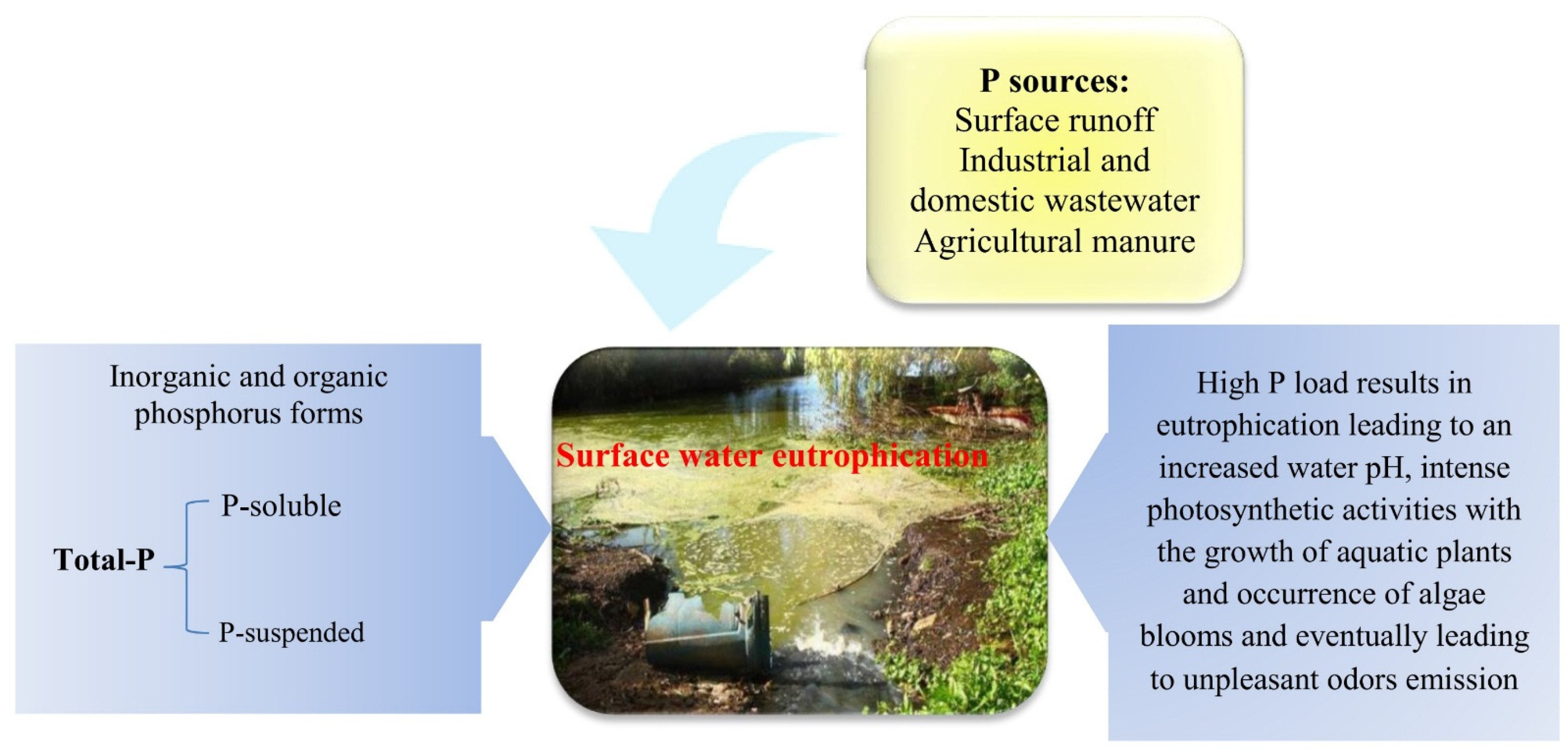 Water 13 00517 g001 Water 13 00517 g001