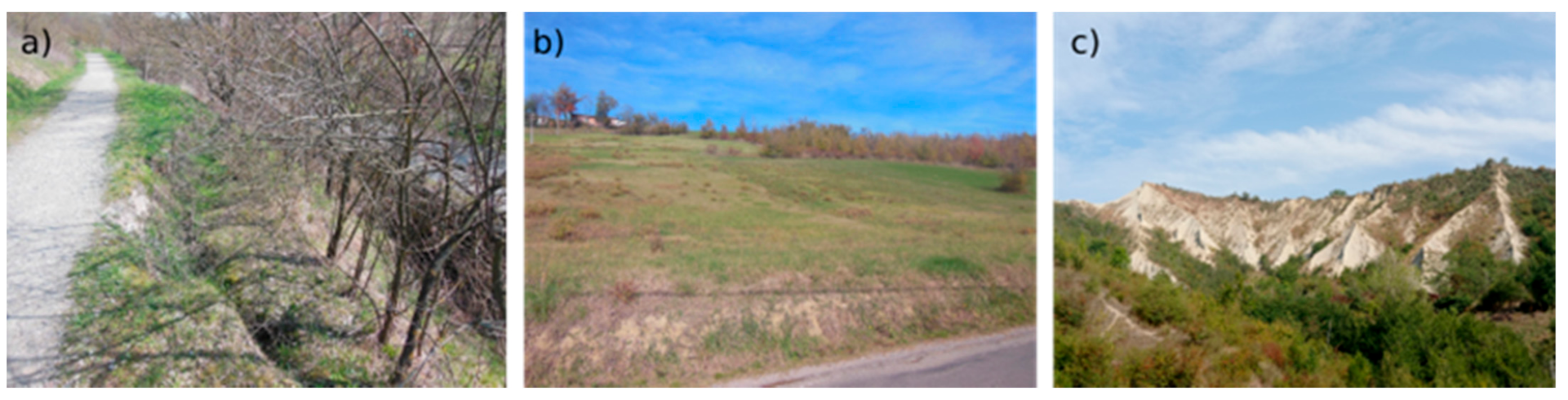 Water 13 00539 g004 Water 13 00539 g004