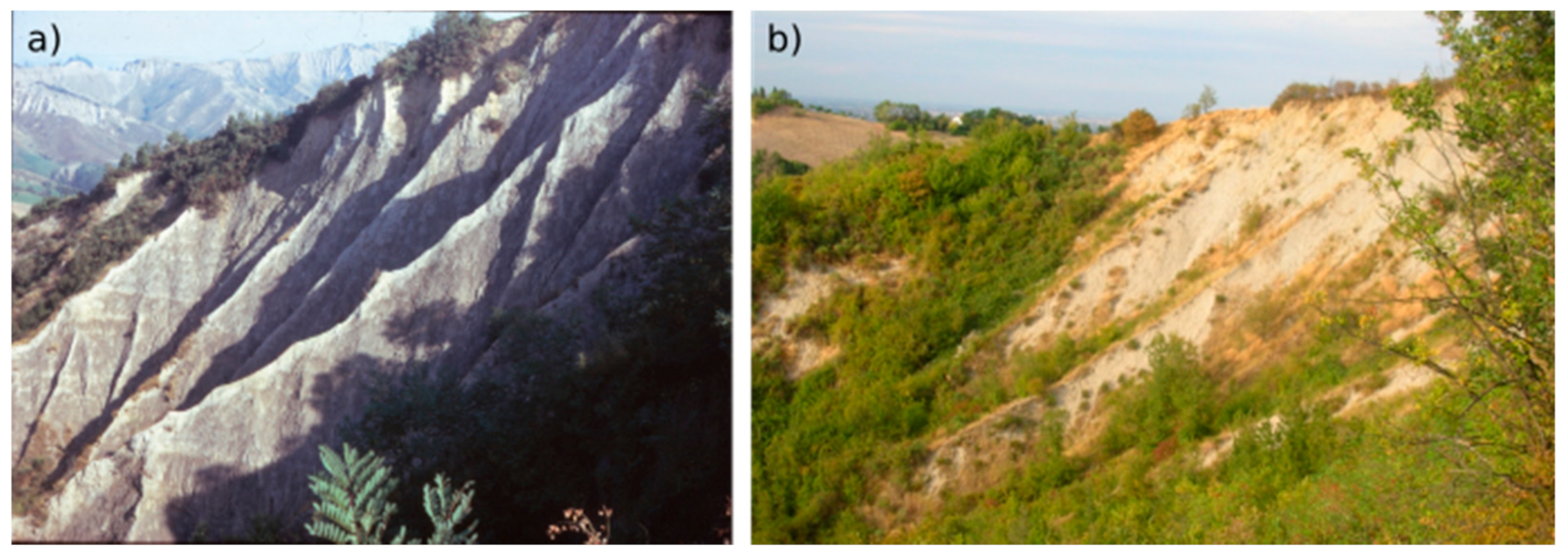 Water 13 00539 g014 Water 13 00539 g014