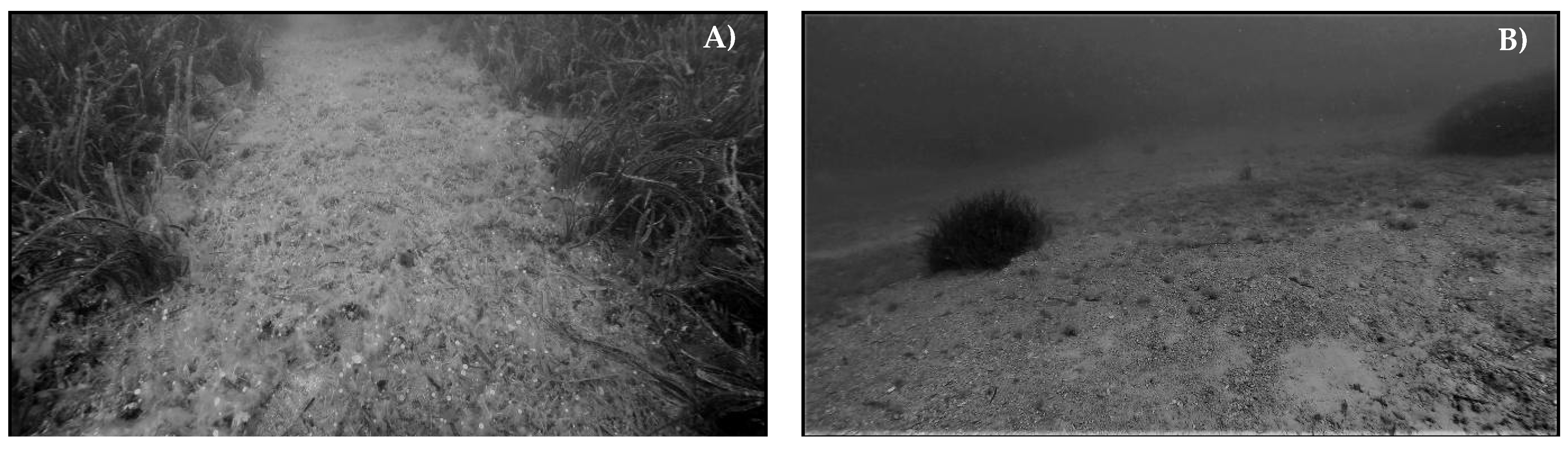 Water 13 00661 g002 Water 13 00661 g002