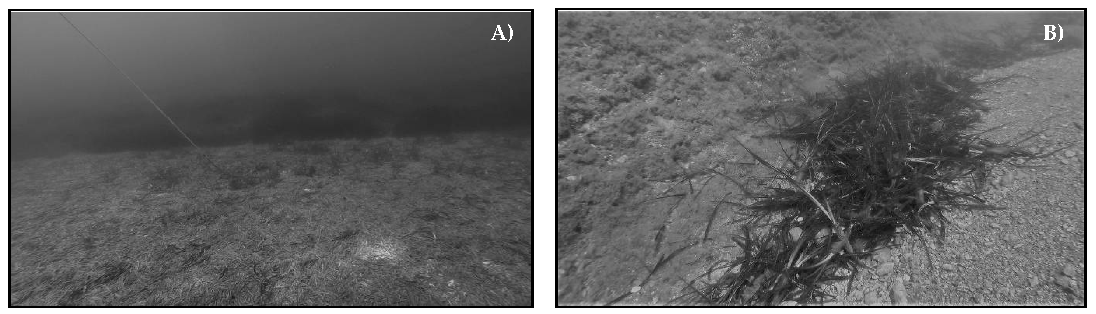 Water 13 00661 g004 Water 13 00661 g004