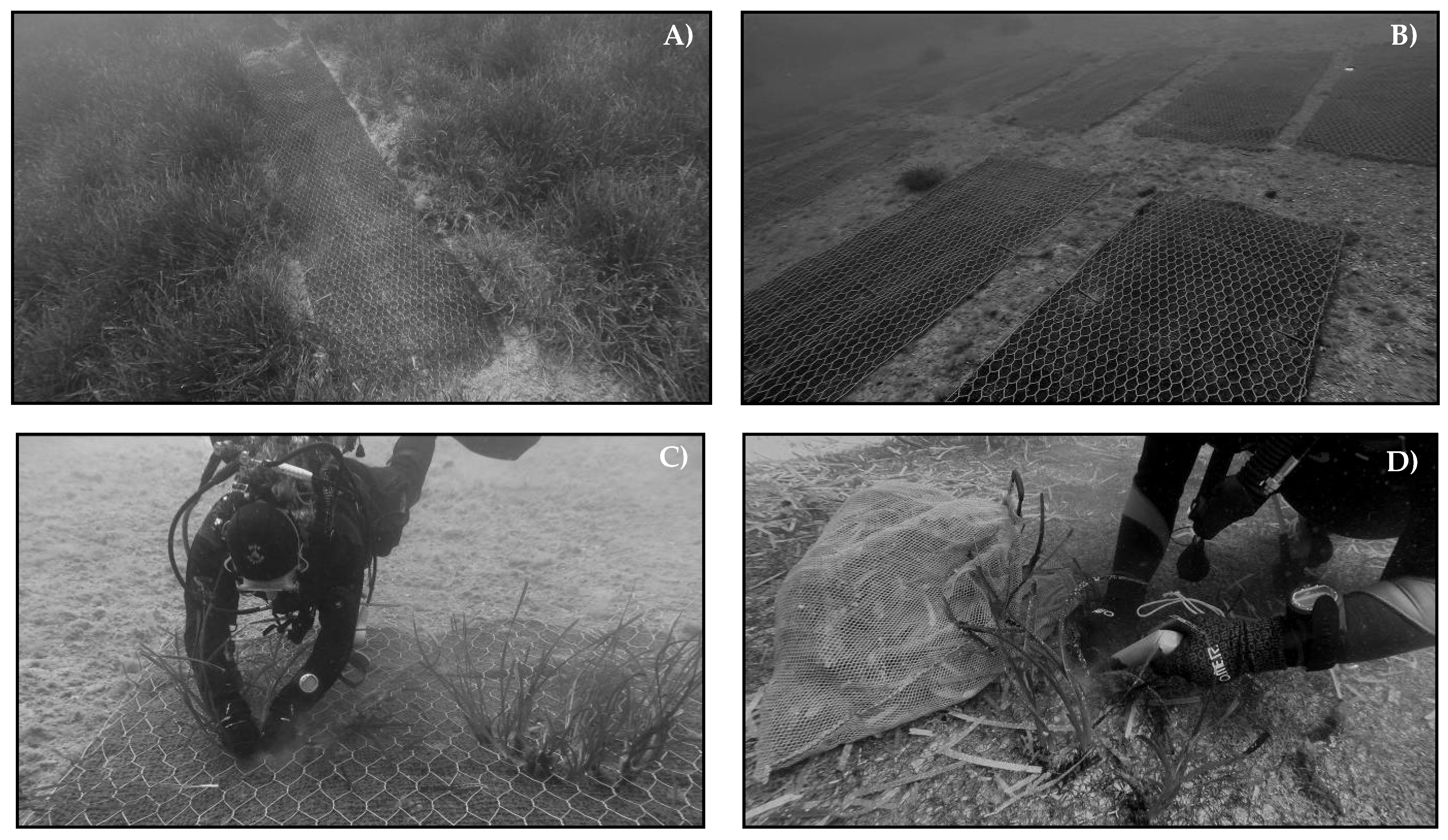 Water 13 00661 g005 Water 13 00661 g005