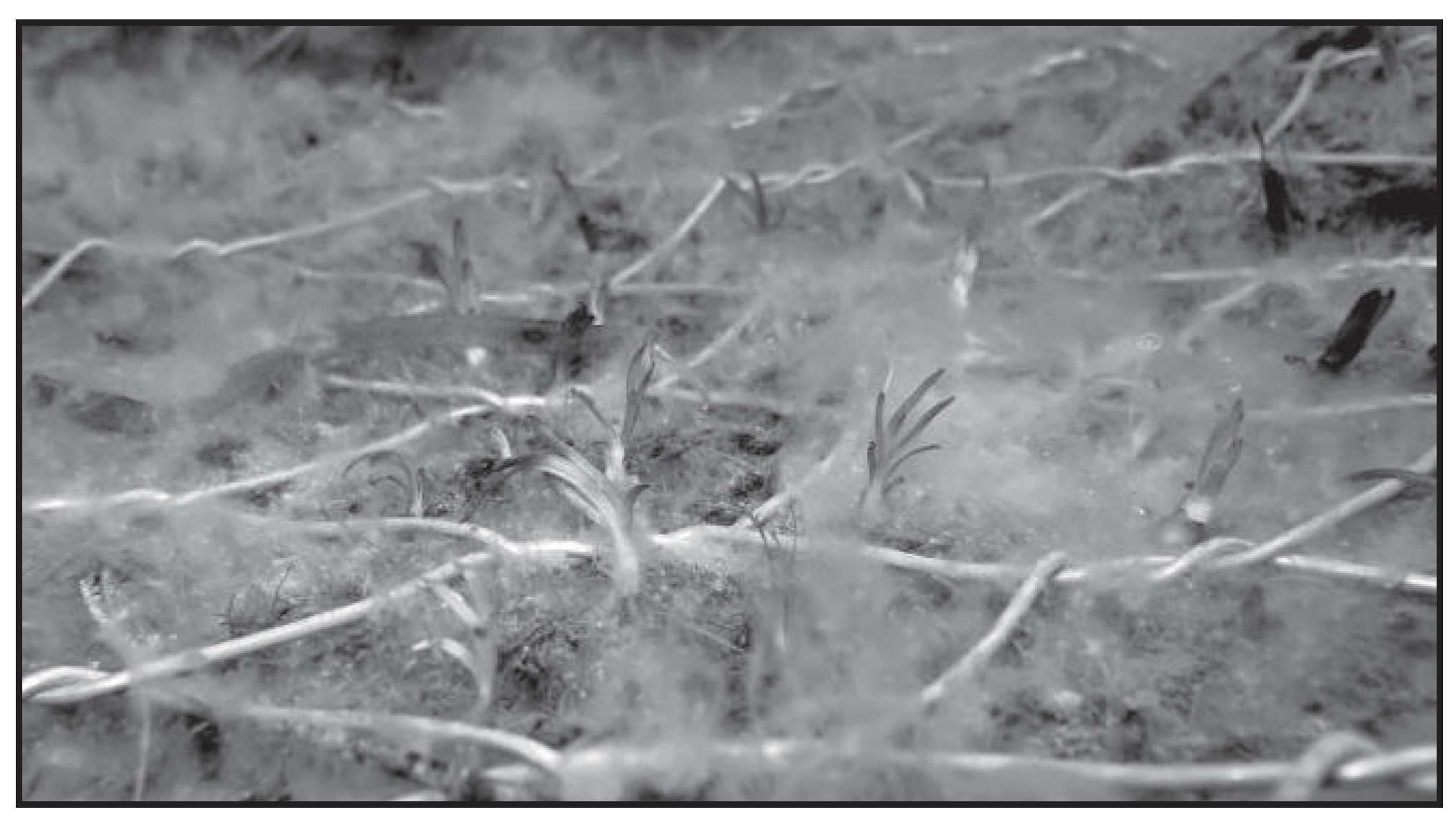 Water 13 00661 g009 Water 13 00661 g009