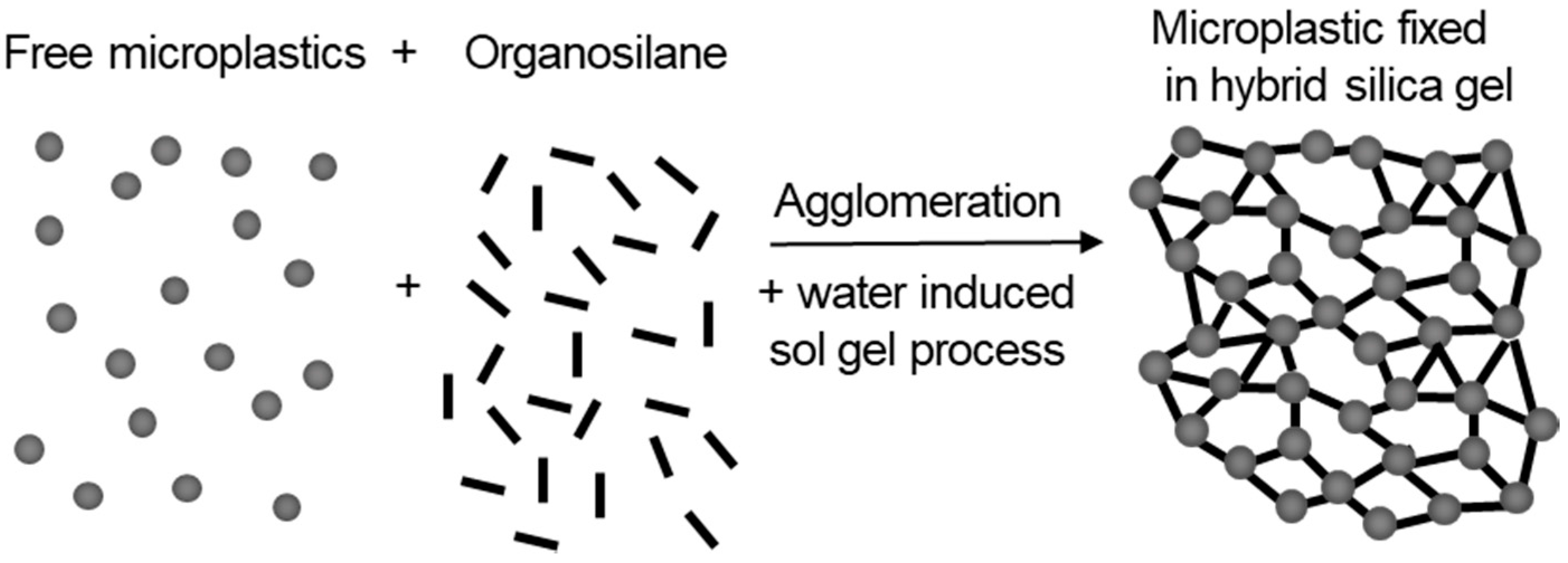 Water 13 00675 g001
