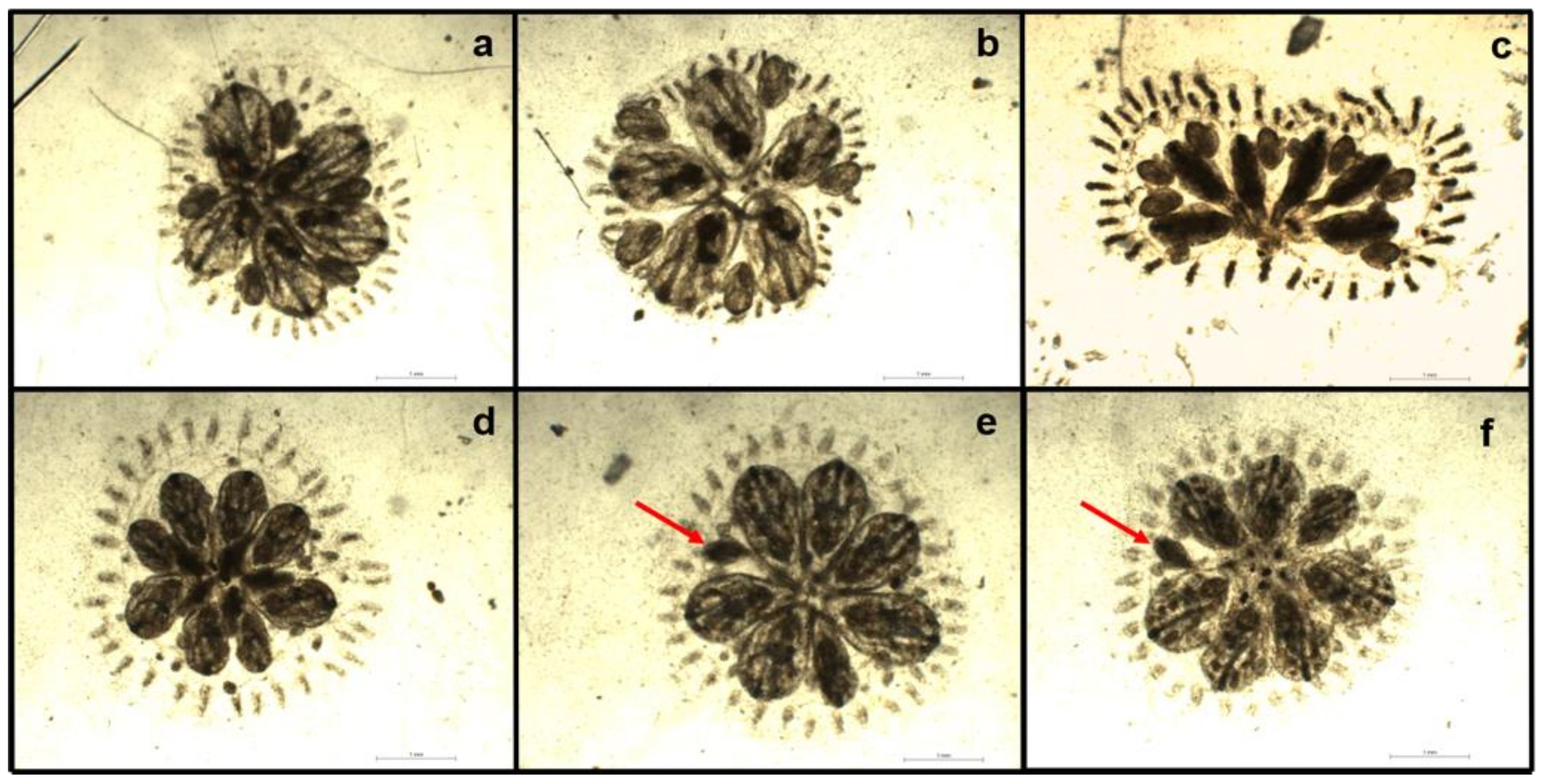 Water 13 00711 g006 Water 13 00711 g006