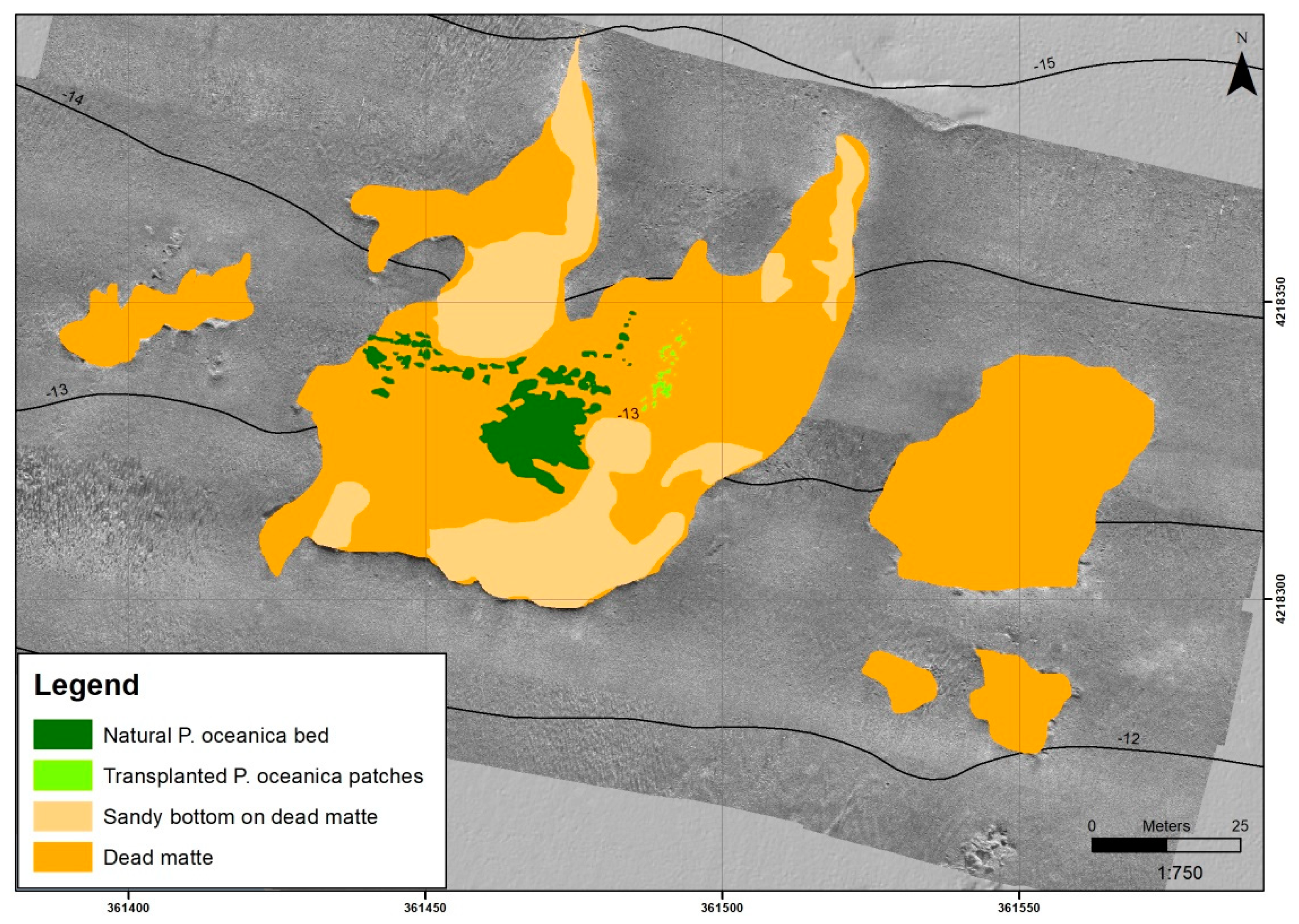 Water 13 00724 g003 Water 13 00724 g003