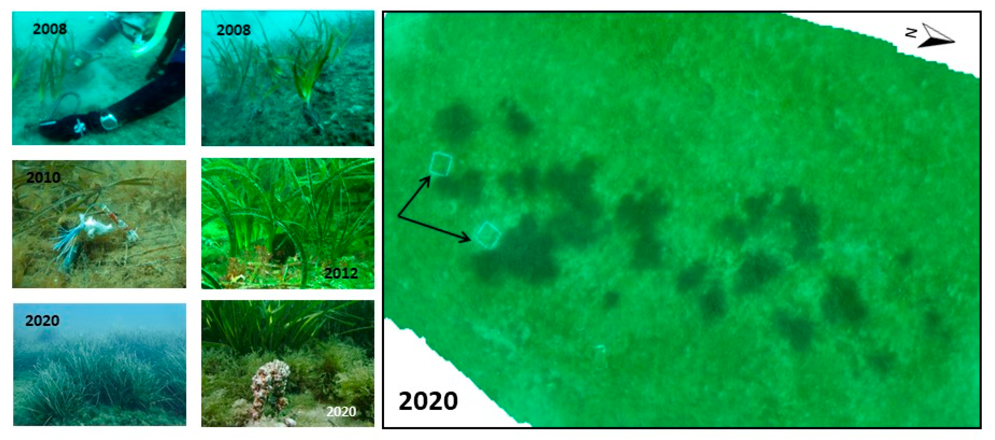 Water 13 00724 g004 Water 13 00724 g004