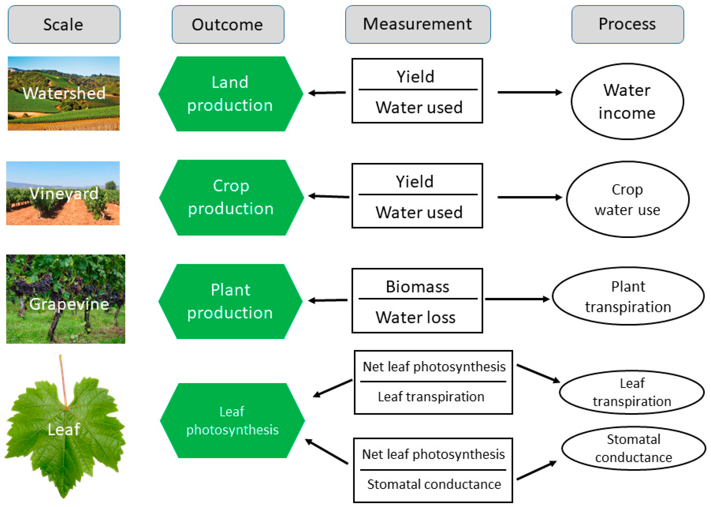 Water 13 00746 g002 Water 13 00746 g002