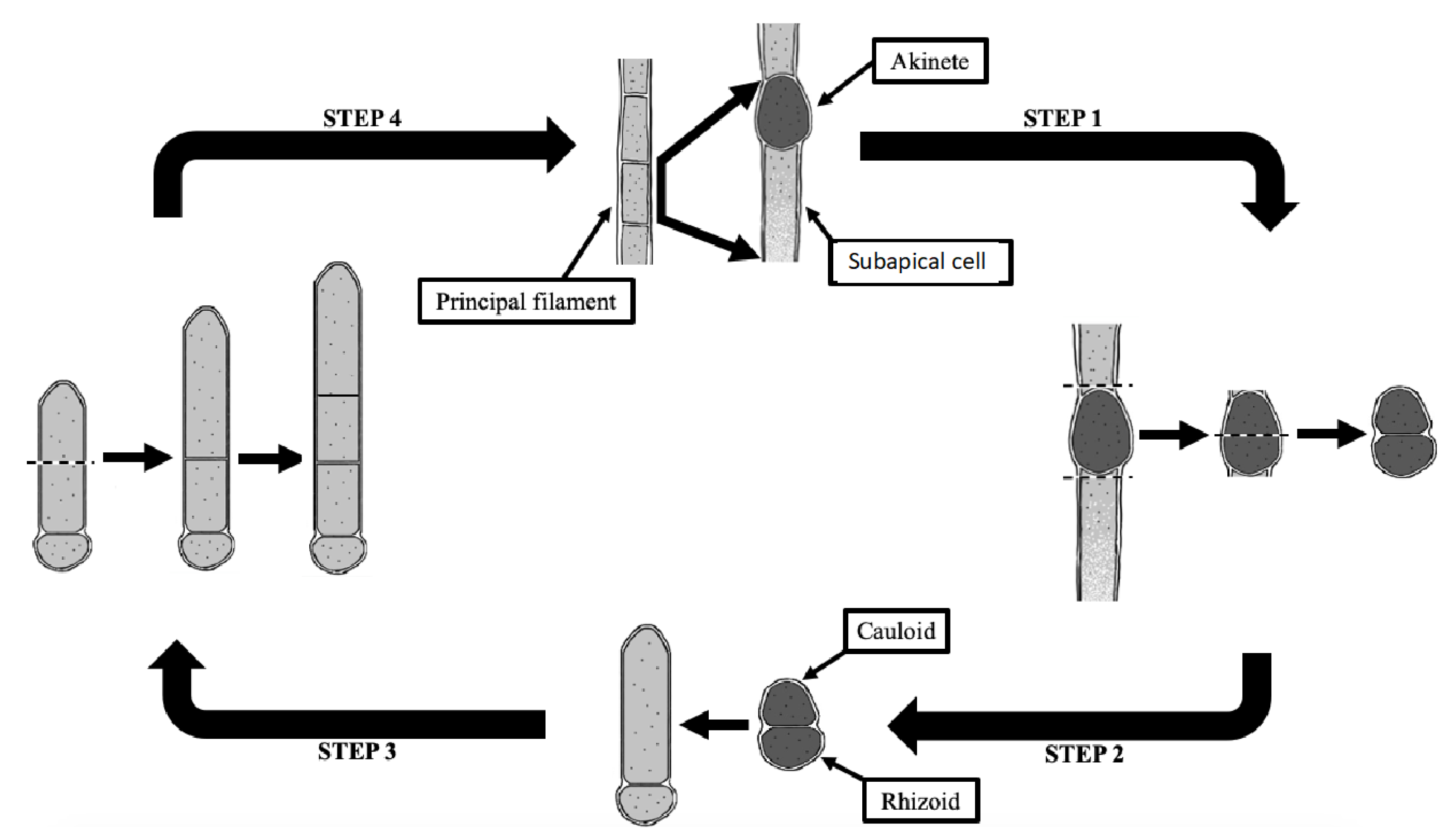 Water 13 00760 g007 Water 13 00760 g007
