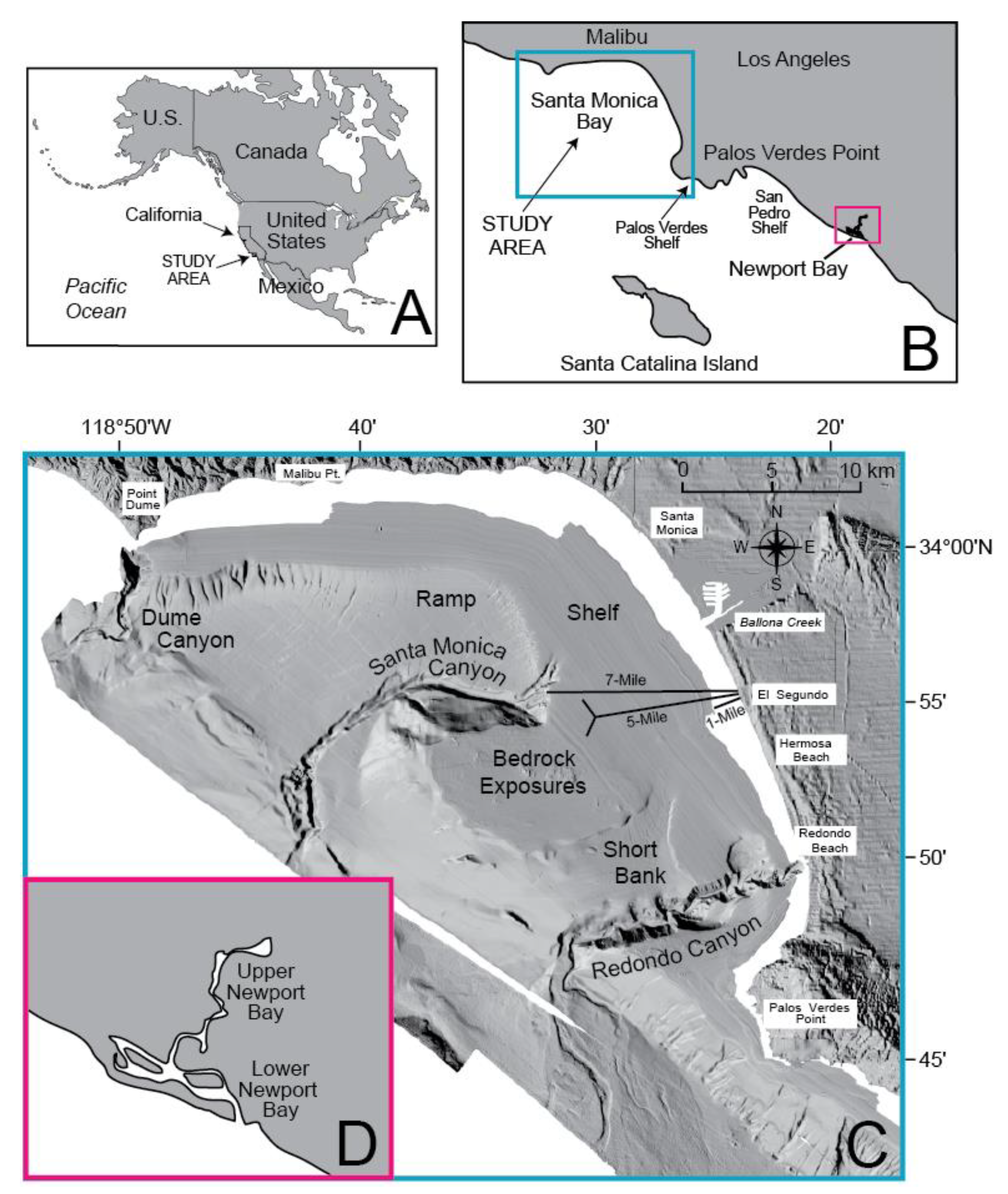 Water Free Full Text Potential Use Of The Benthic Foraminifers Bulimina Denudata And Eggerelloides Advenus In Marine Sediment Toxicity Testing Html Water Free Full Text Potential Use Of The Benthic Foraminifers Bulimina Denudata And Eggerelloides Advenus In Marine Sediment Toxicity Testing Html