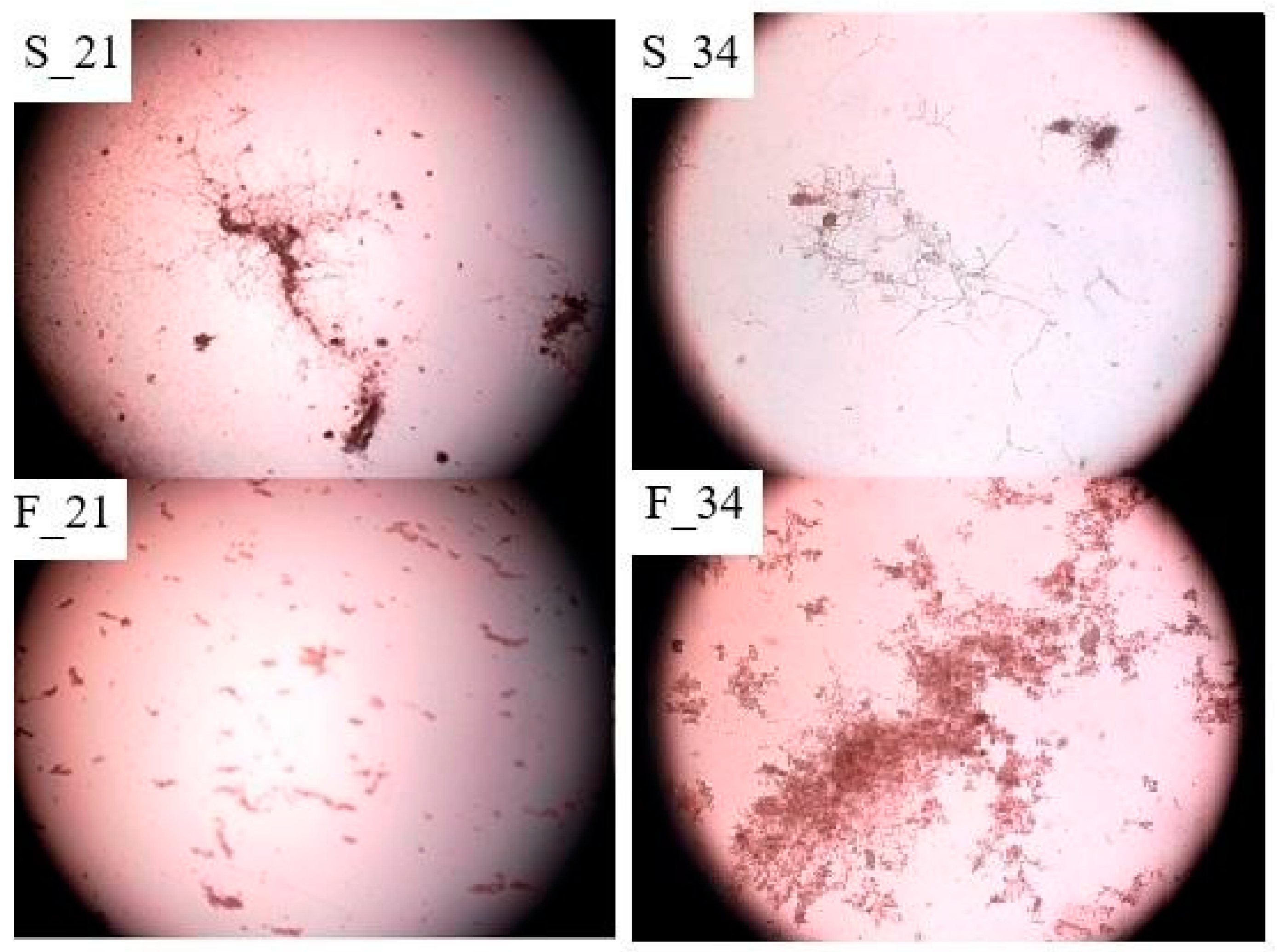 Water 13 00984 g007 Water 13 00984 g007