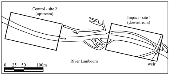 Water | Special Issue : River Restoration: Monitoring, Appraisal and ...