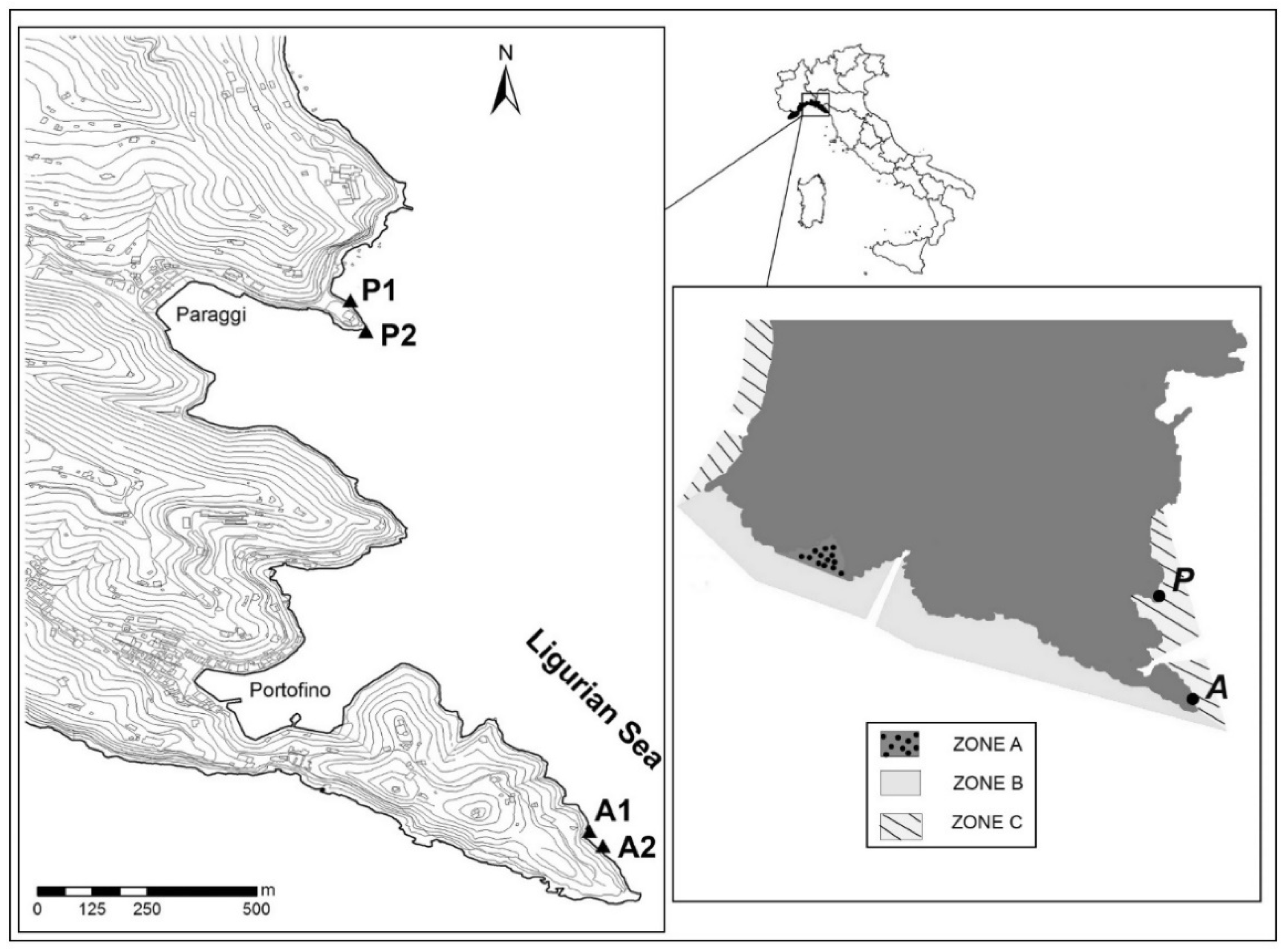 Dissimilarity components among Brazilian marine sub-provinces. Three