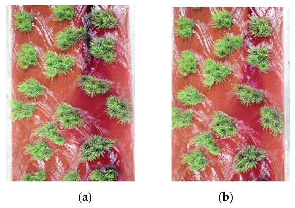 Water 13 01055 g003 Water 13 01055 g003