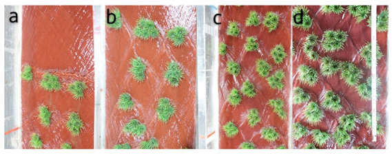 Water 13 01055 g011 Water 13 01055 g011