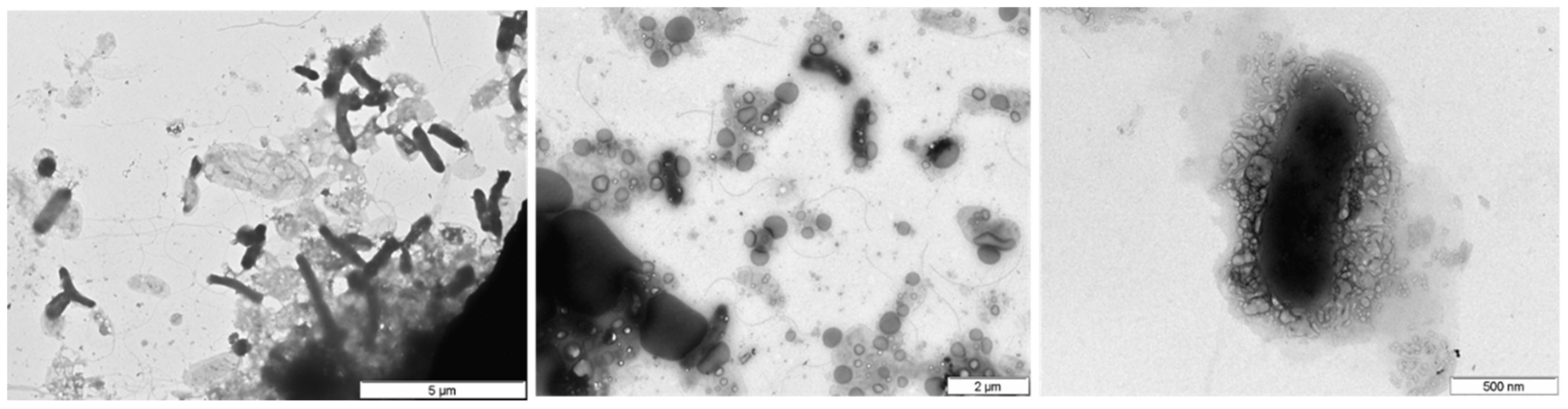 Water 13 01060 g009 Water 13 01060 g009