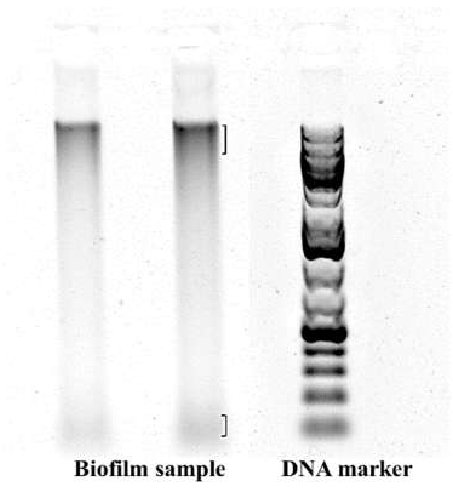 Water 13 01060 g010 Water 13 01060 g010