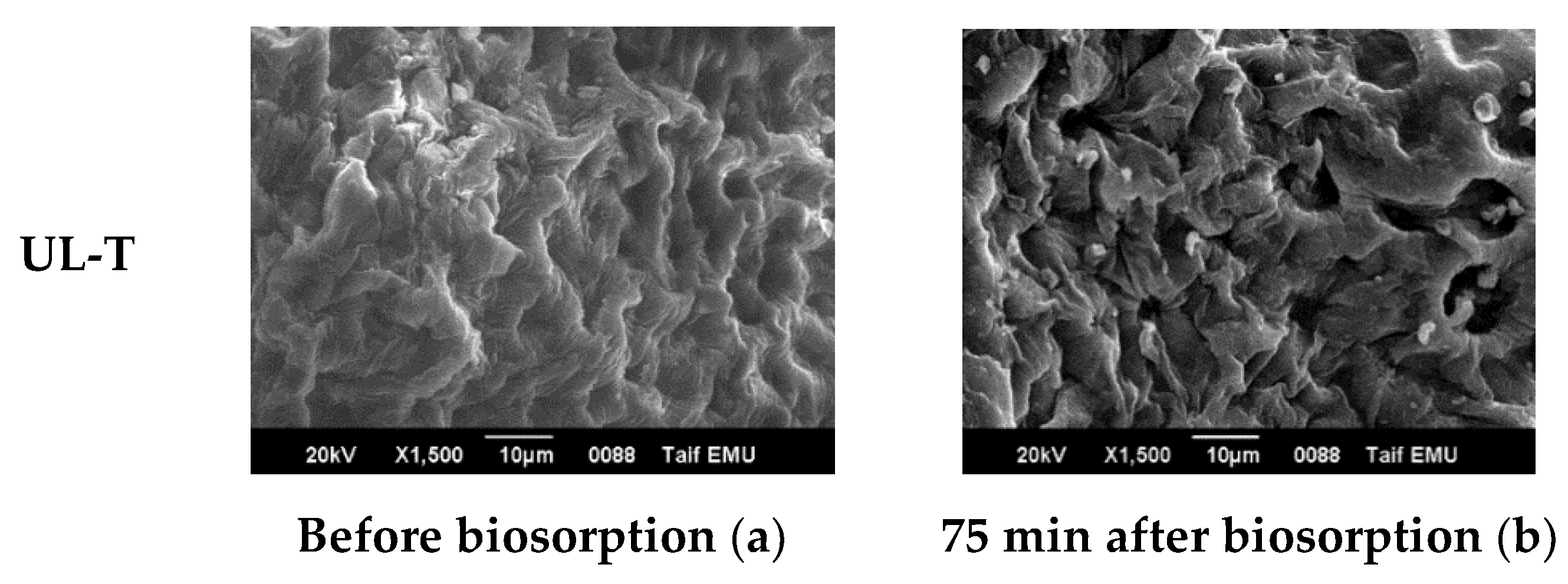 Water 13 01154 g006b