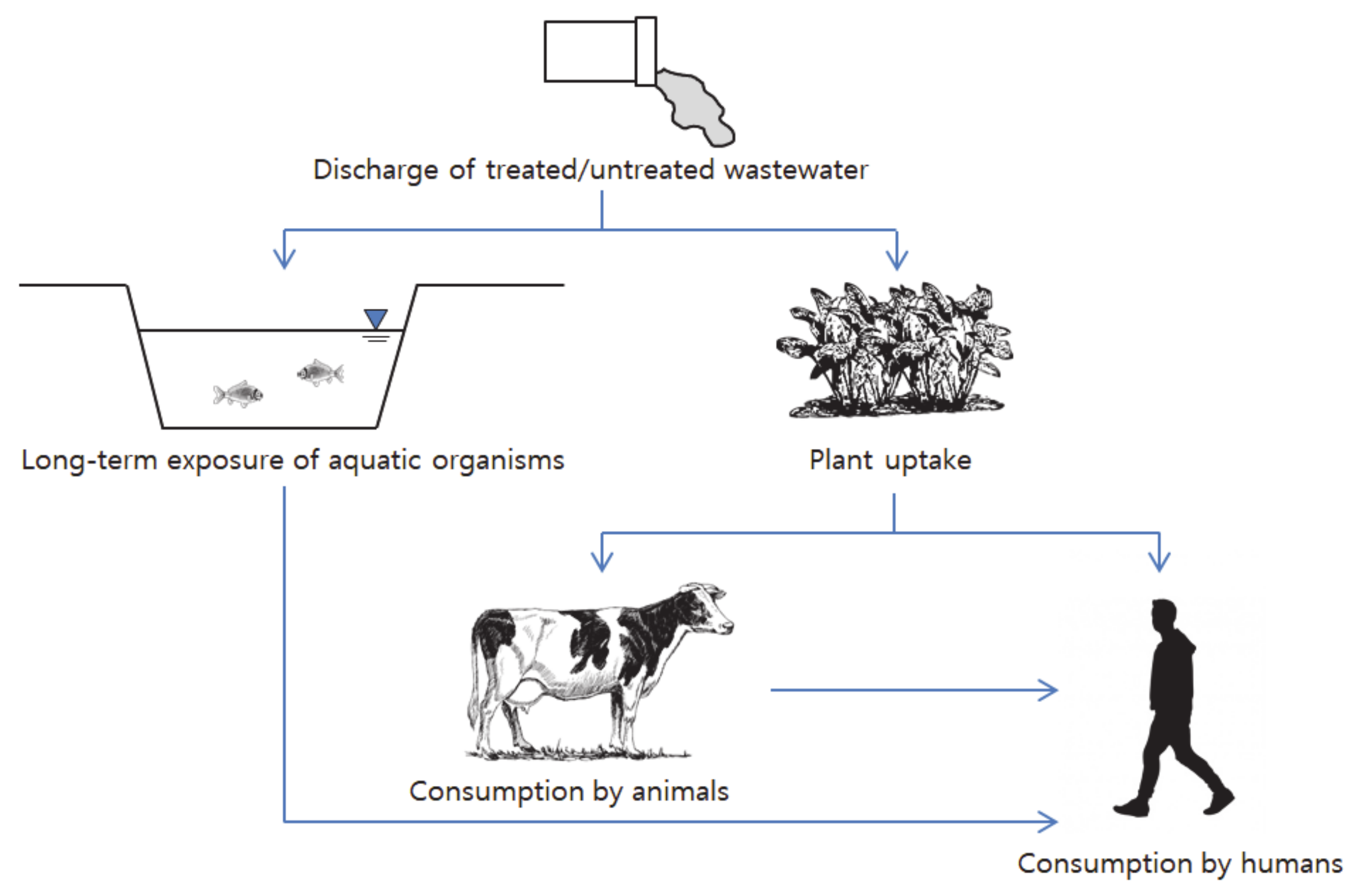 Water 13 01159 g006 Water 13 01159 g006