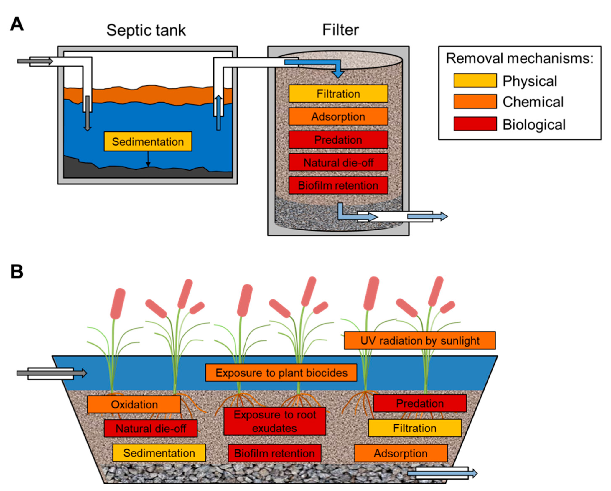 Giardia water treatment