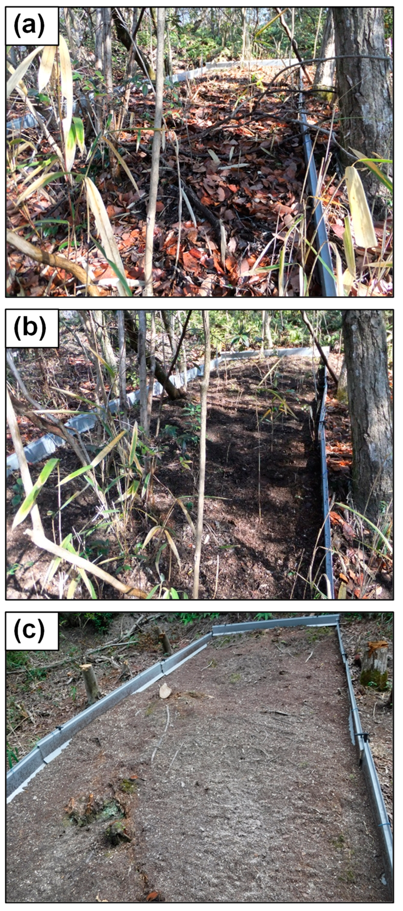 Water 13 01205 g005 Water 13 01205 g005