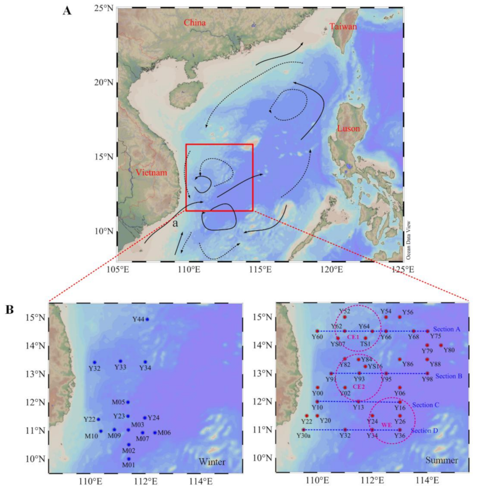 Water | Free Full-Text | Phytoplankton Community in the Western 