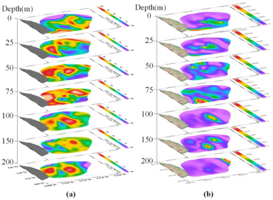 Phytoplankton Community in the Western South China Sea in