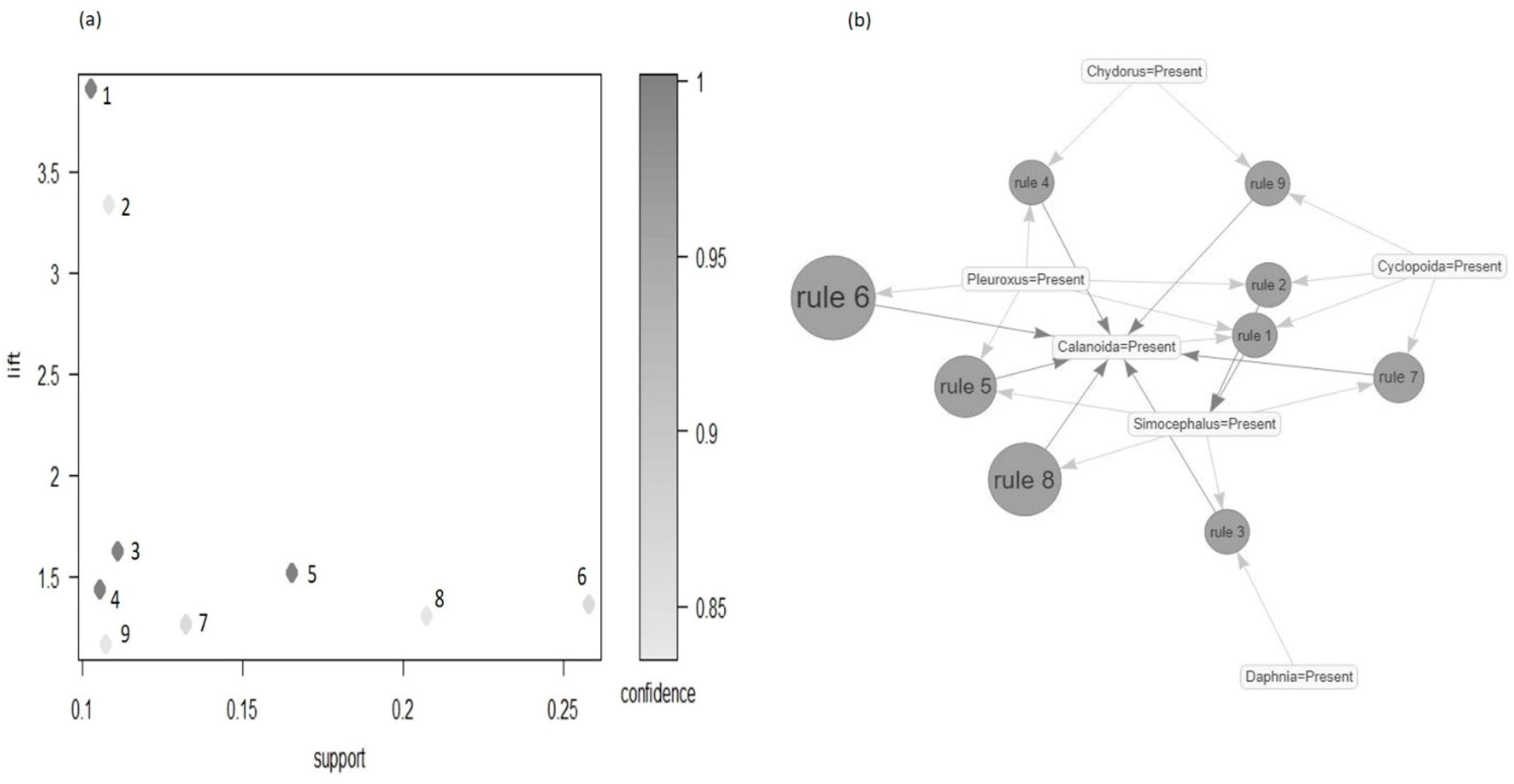 Association rule diagram. The circle size represents Confidence