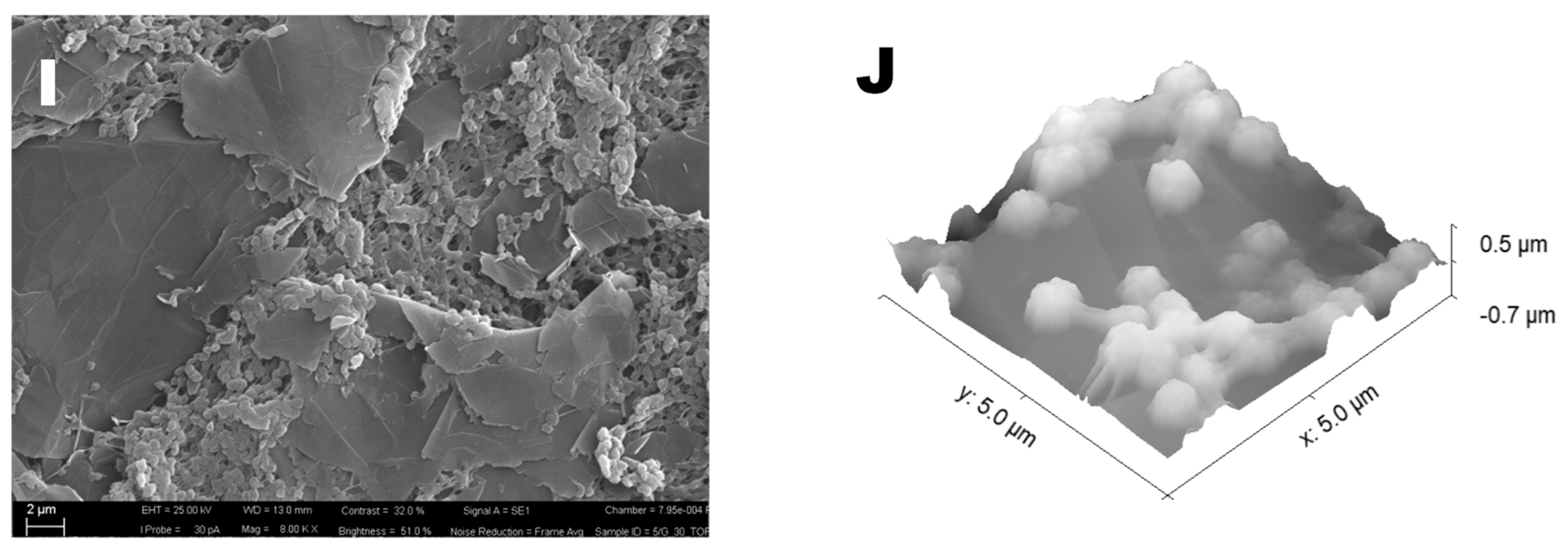 Water 13 01279 g001b Water 13 01279 g001b