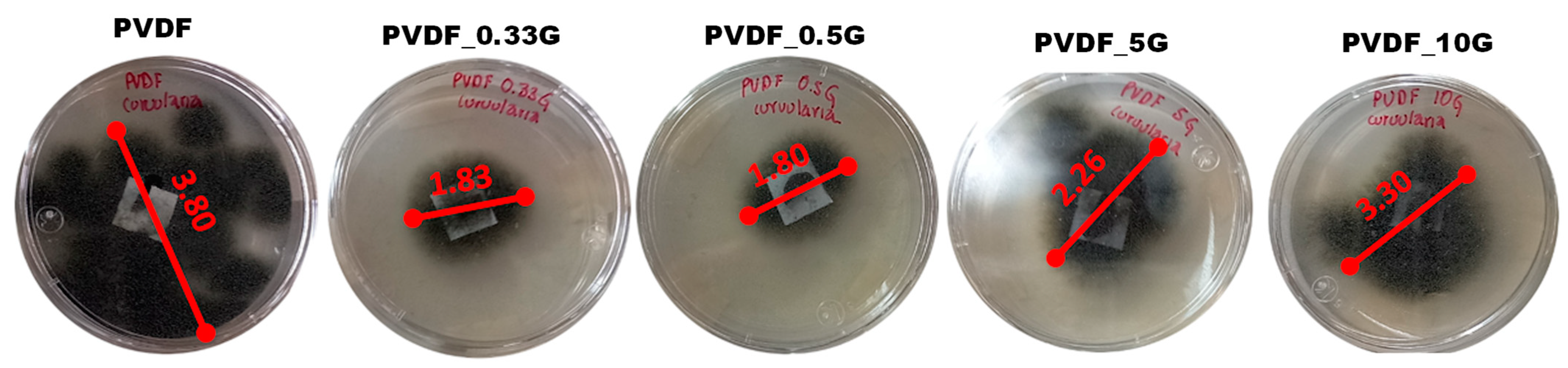 Water 13 01279 g006 Water 13 01279 g006