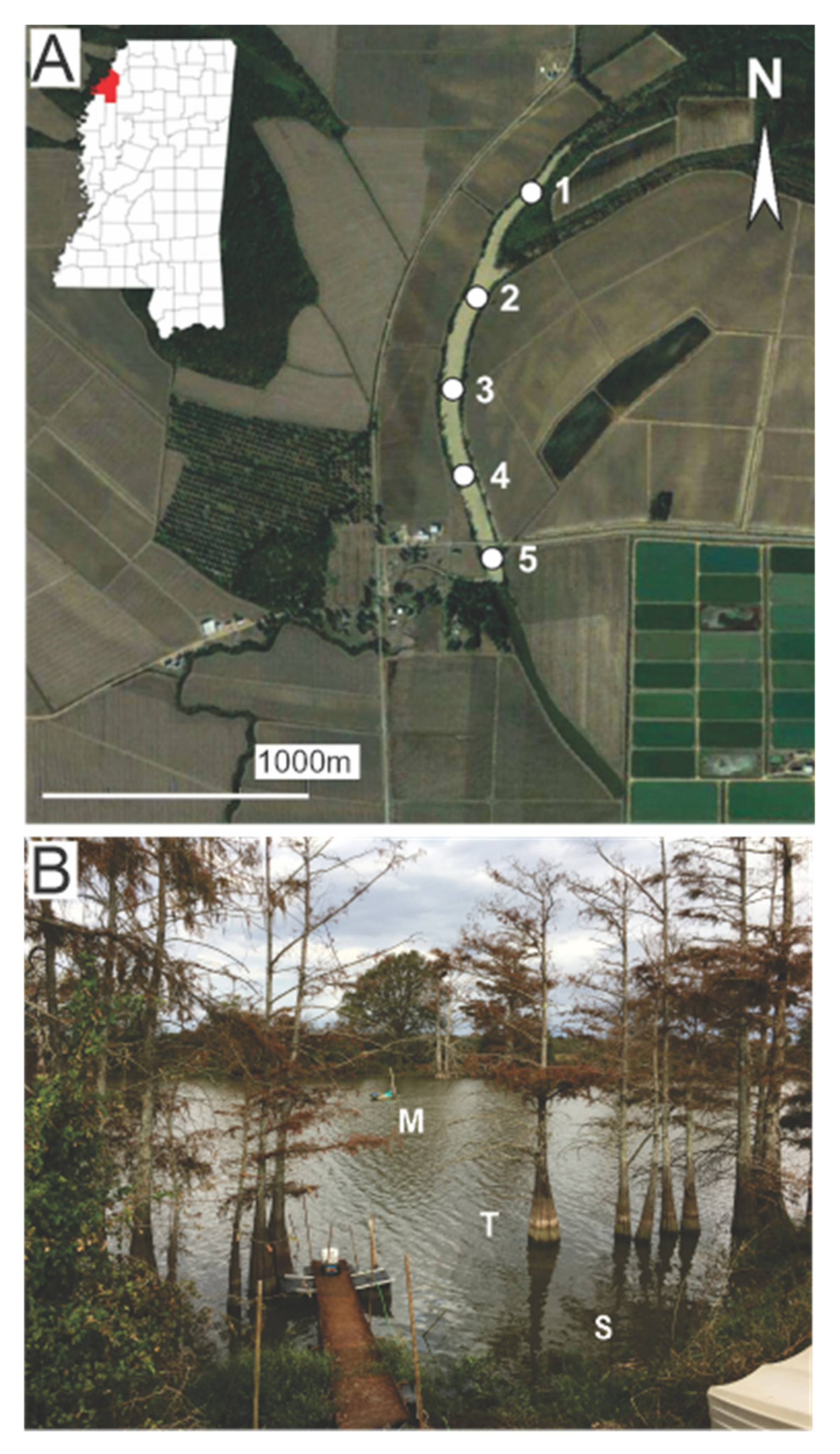 Water 13 01344 g001 Water 13 01344 g001