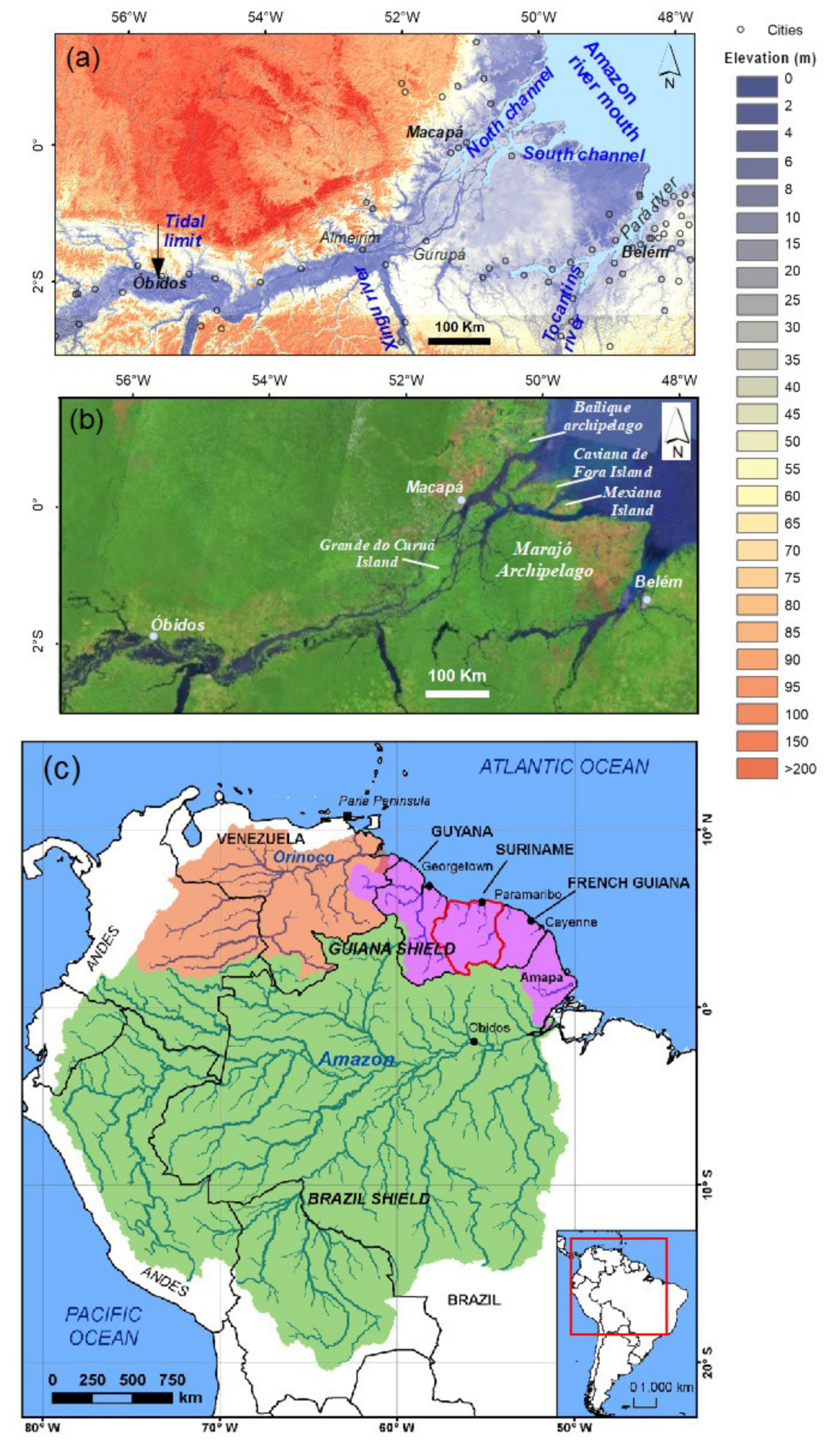 Water | Free Full-Text | Sustainable Management, Conservation, and  Restoration of the Amazon River Delta and Amazon-Influenced Guianas Coast:  A Review | HTML