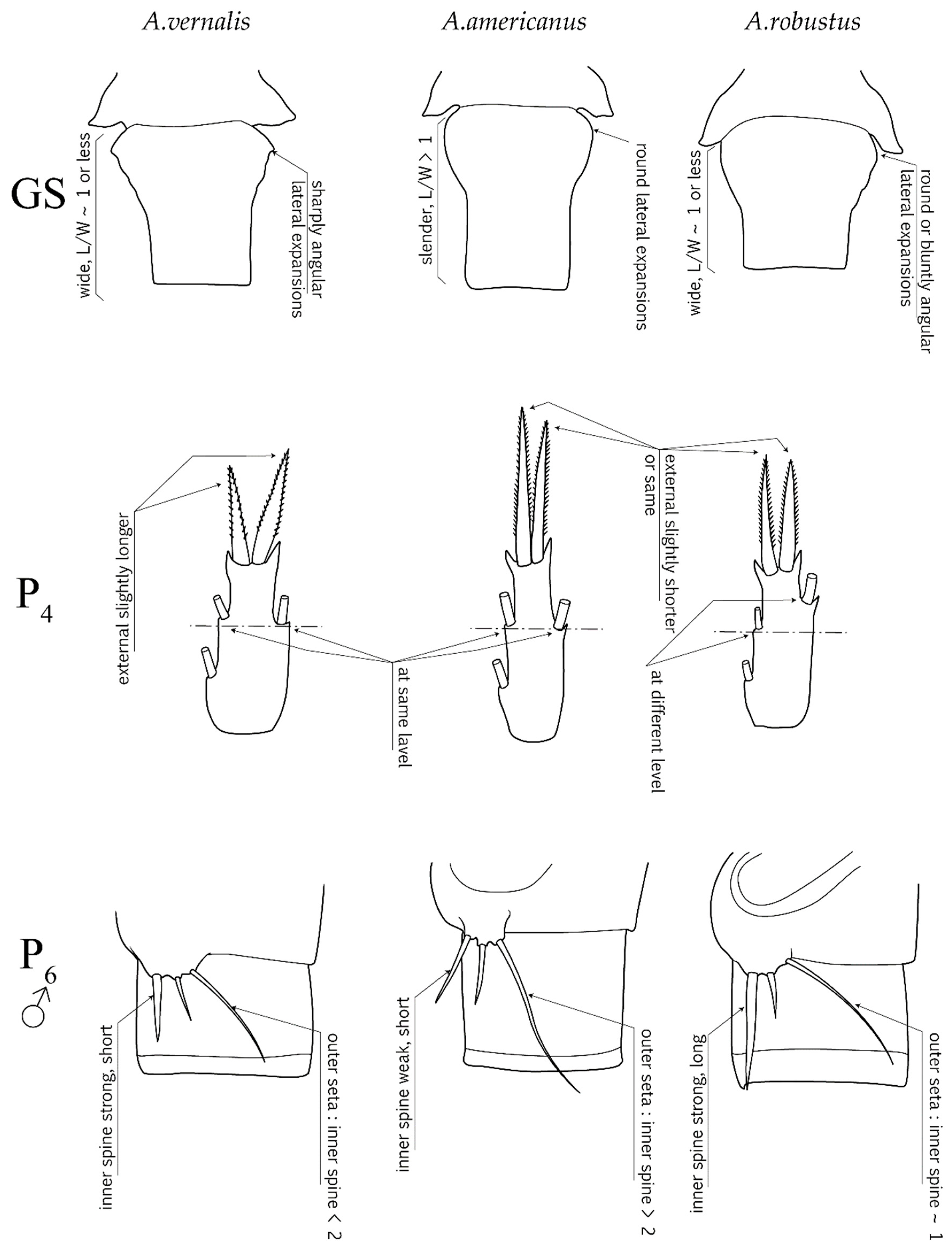 Water 13 01423 g002 Water 13 01423 g002