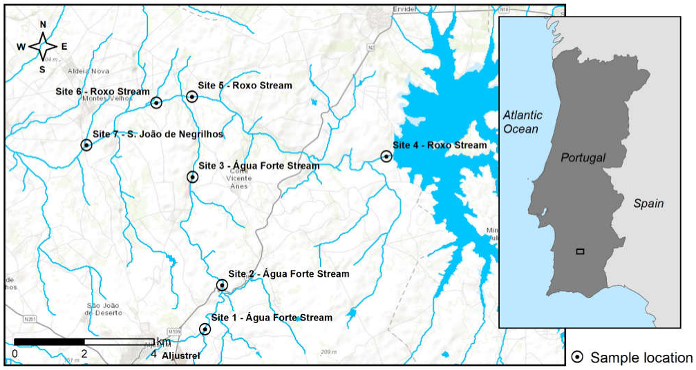 Maps