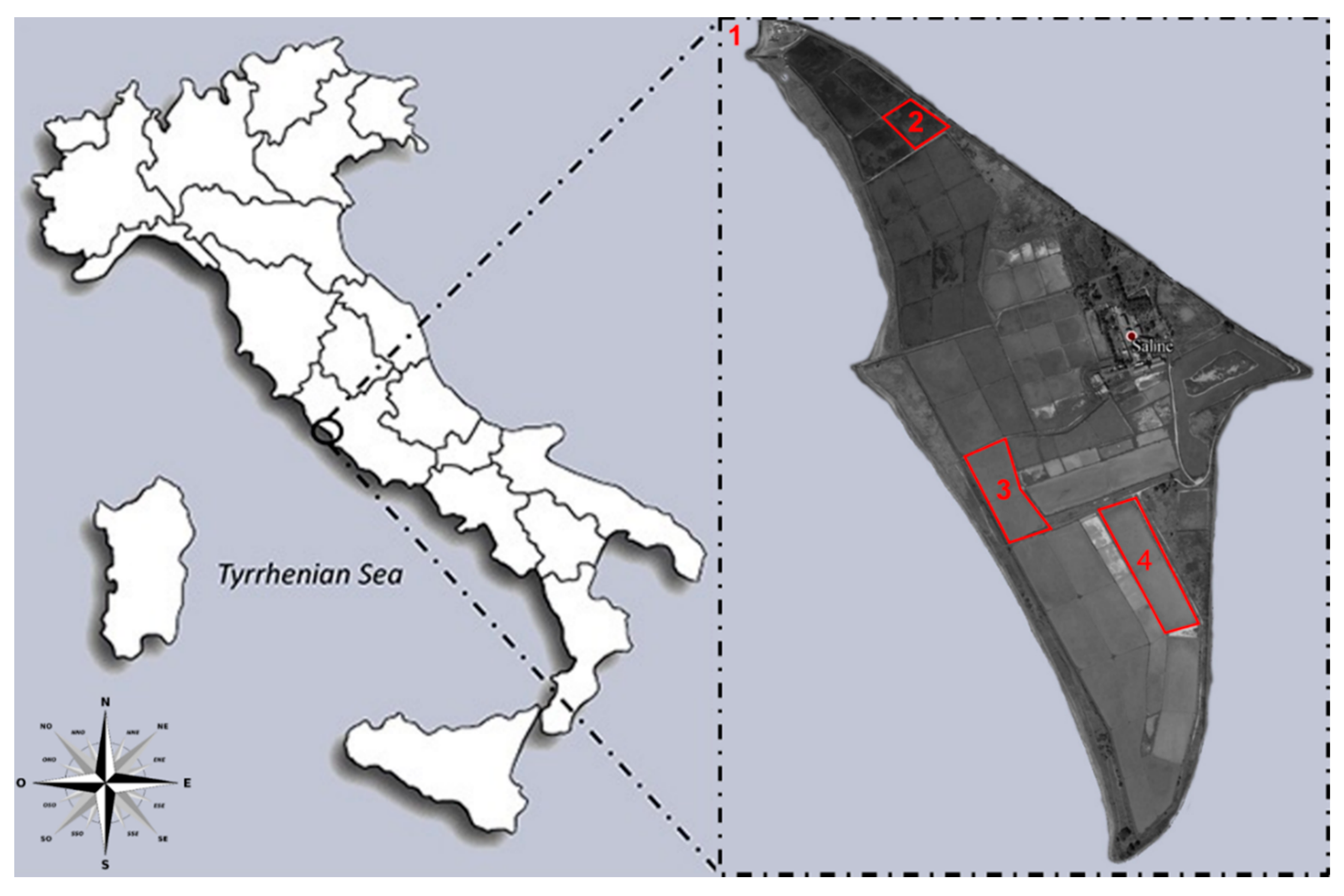 Water 13 01443 g001 Water 13 01443 g001