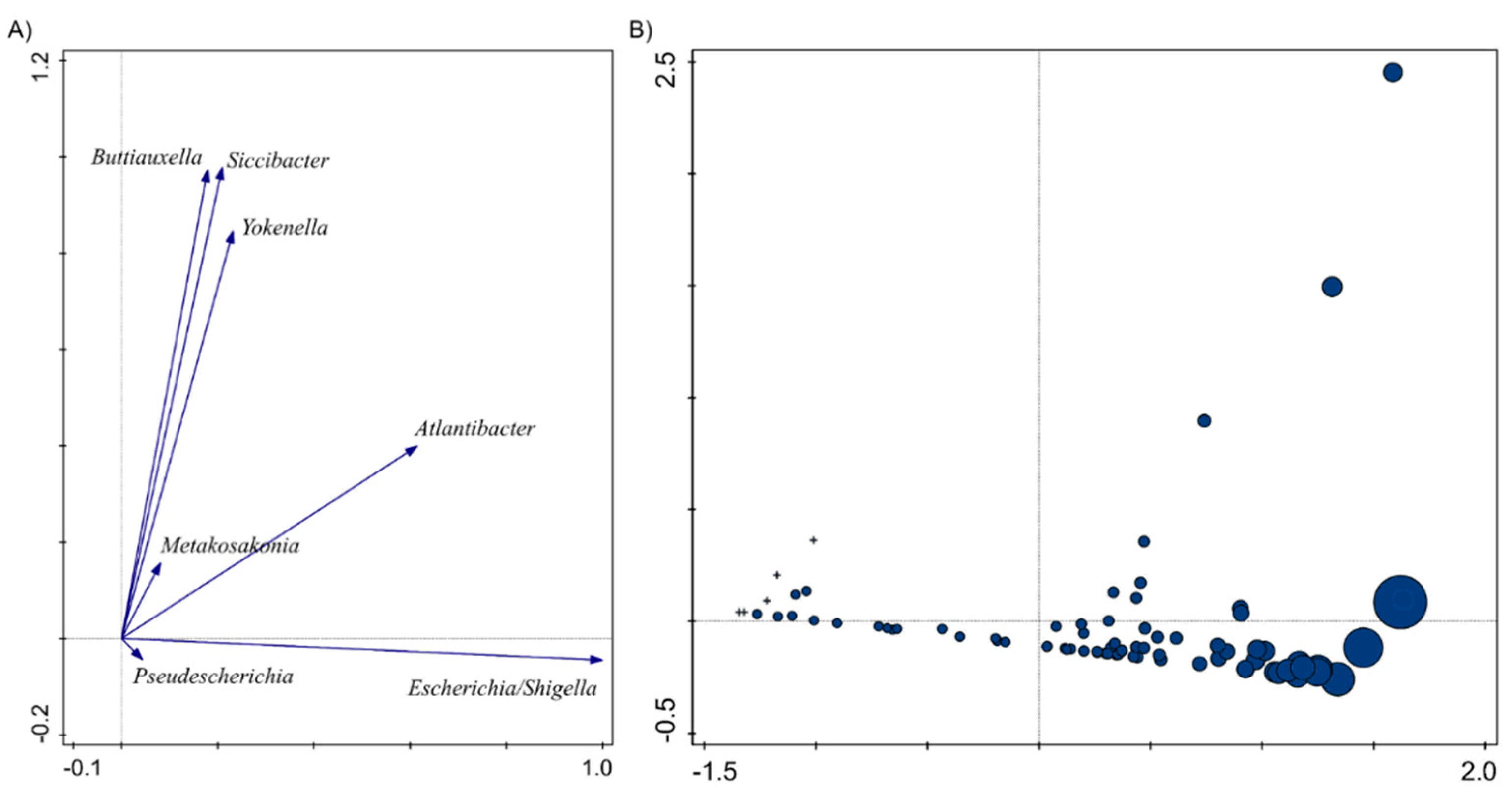 Water 13 01443 g004 Water 13 01443 g004