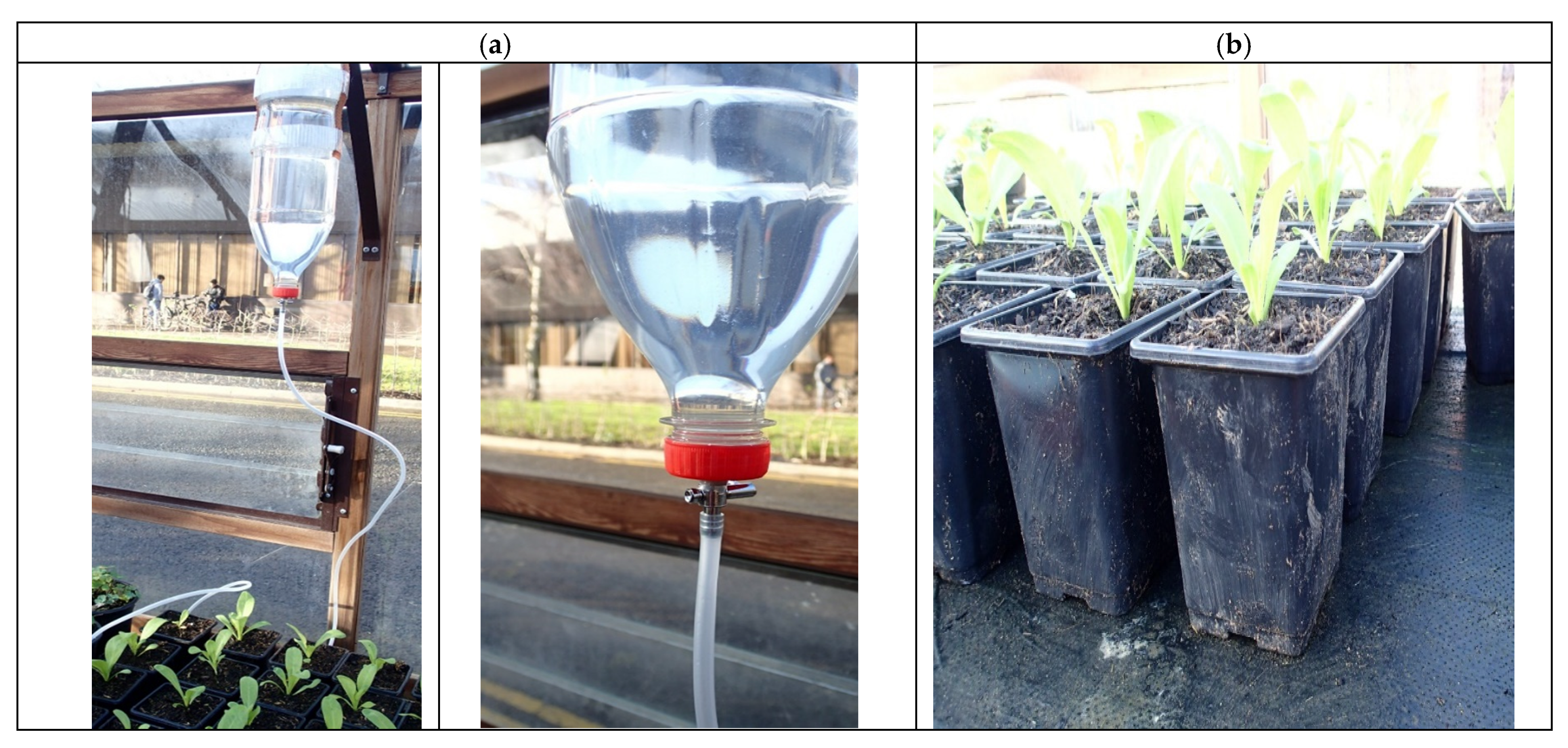 Water 13 01457 g002 Water 13 01457 g002